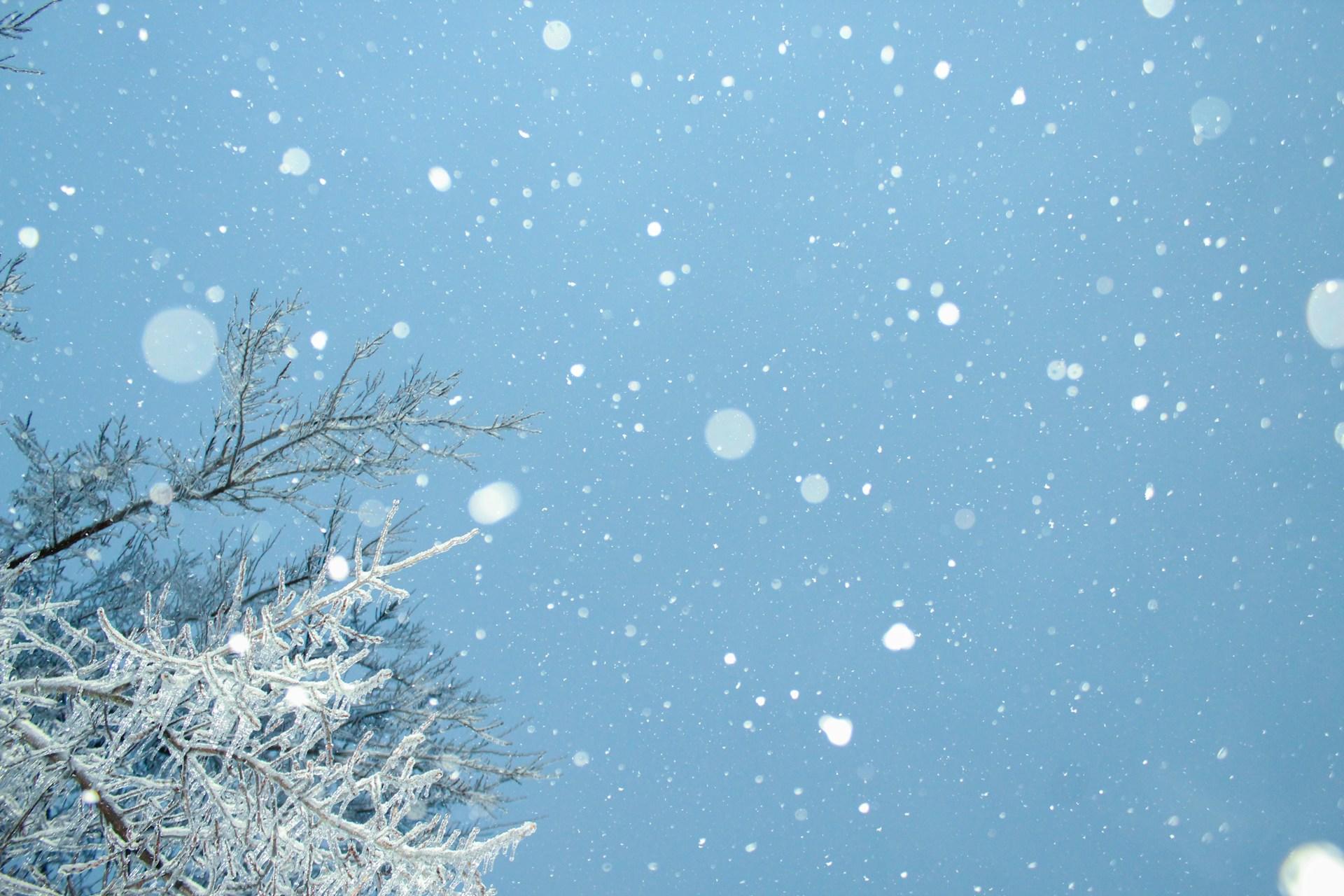 Fotografia de paisagem com neve caindo