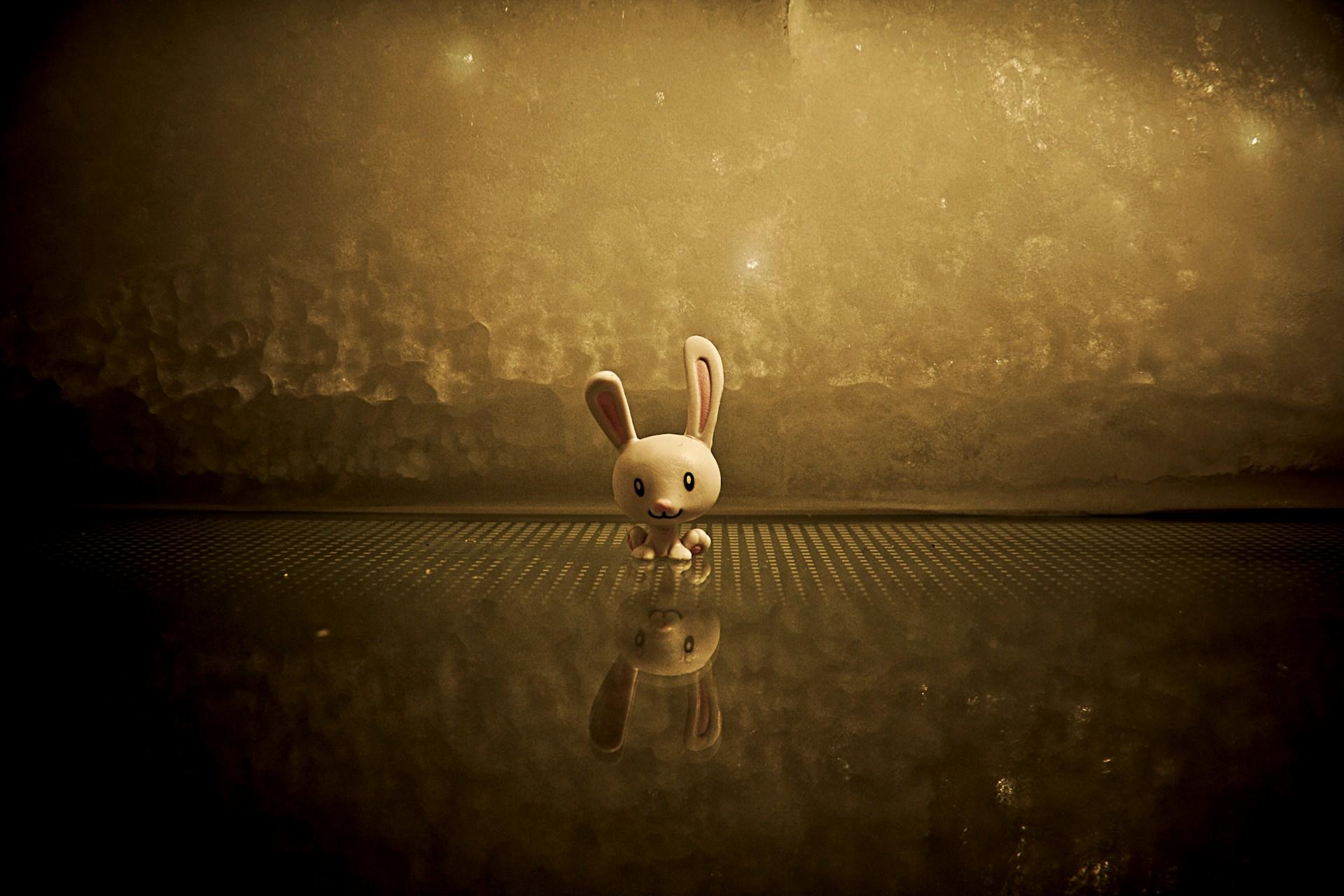 Boneco de um coelho, usado para stop motion