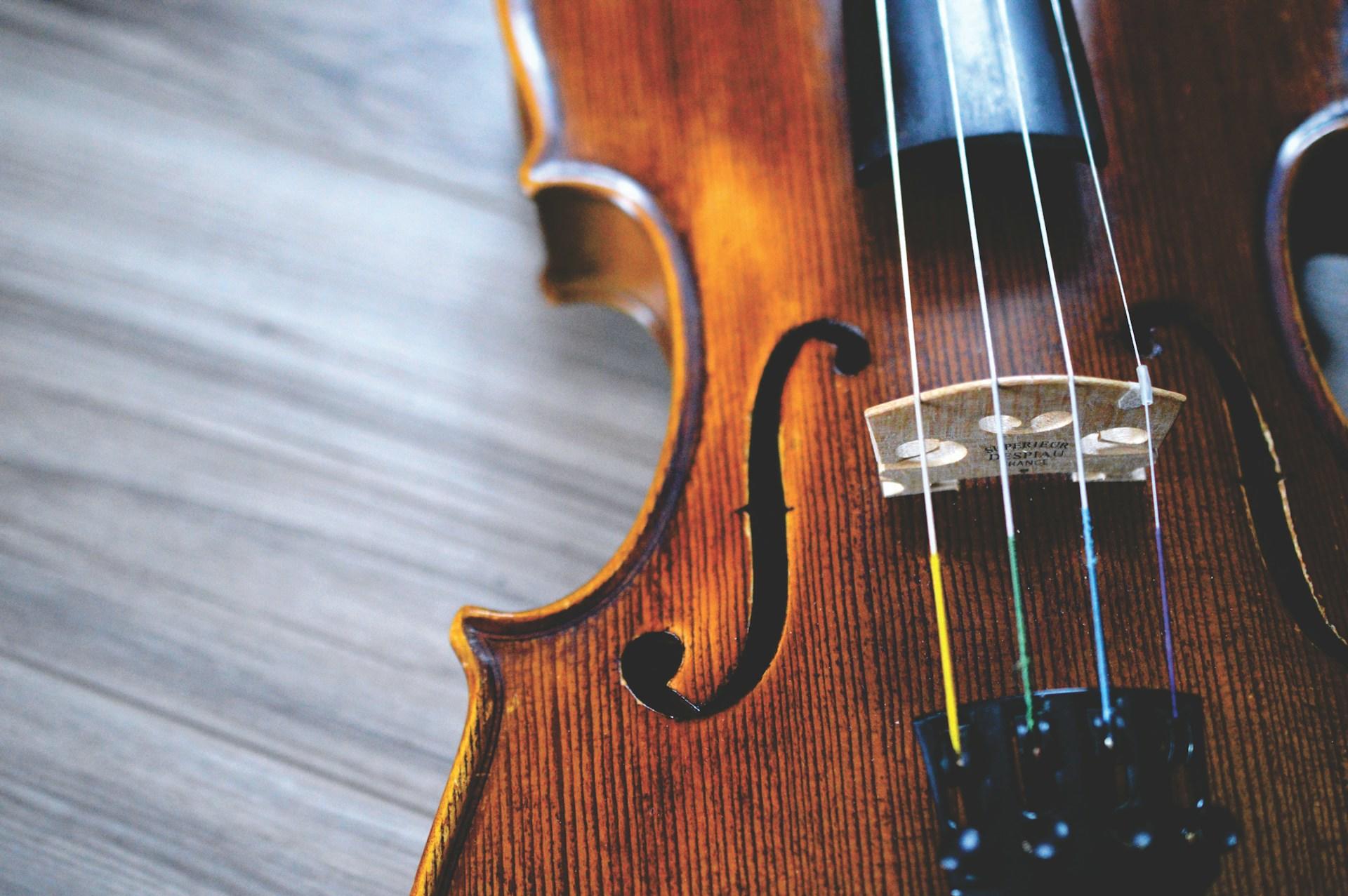 Fotografia de violino caro deitado