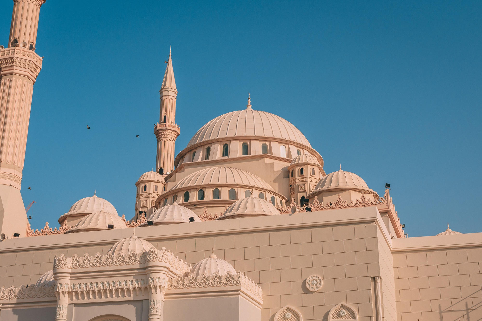 Mesquita. 