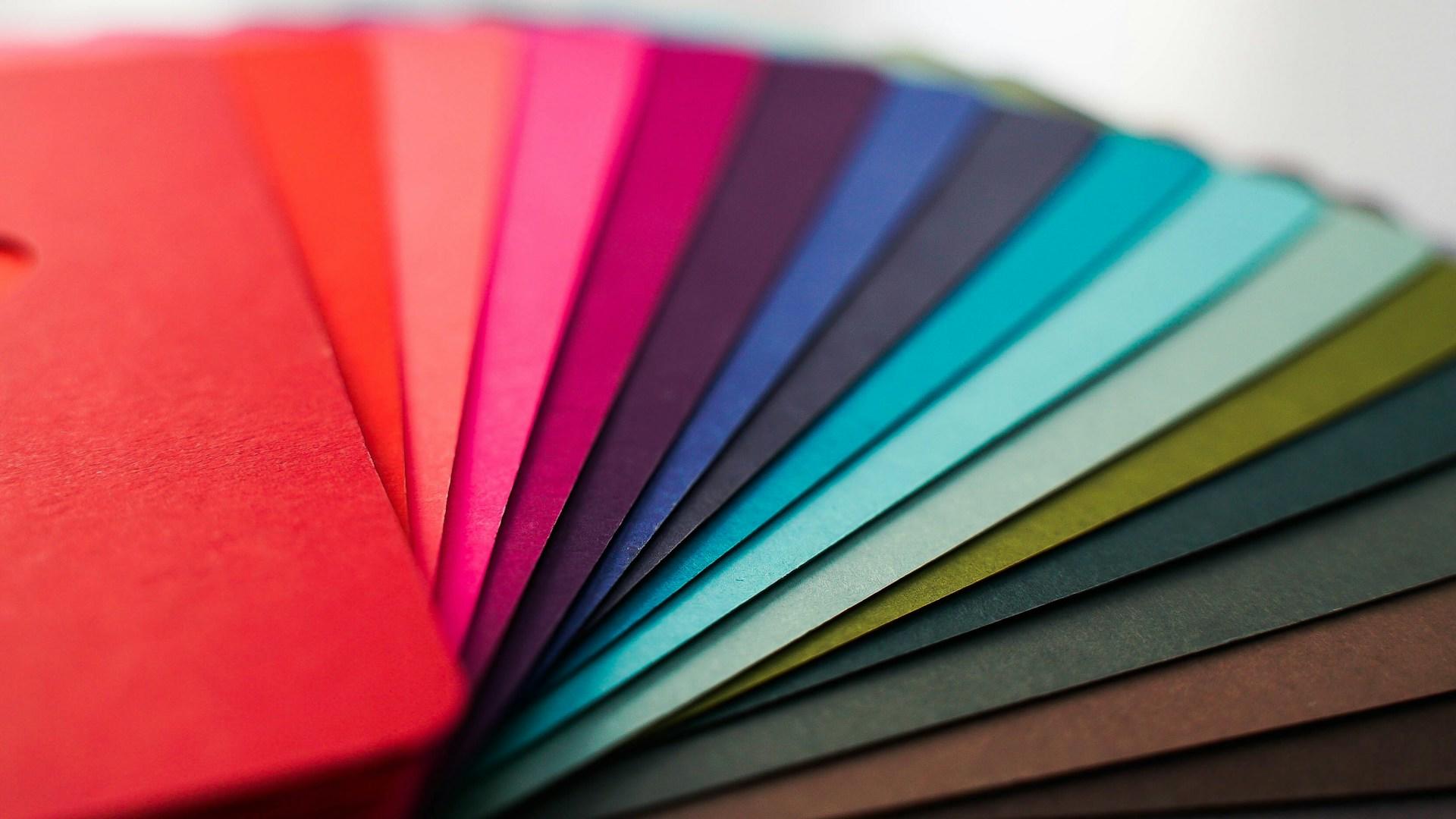 Fotografia de paleta de cores