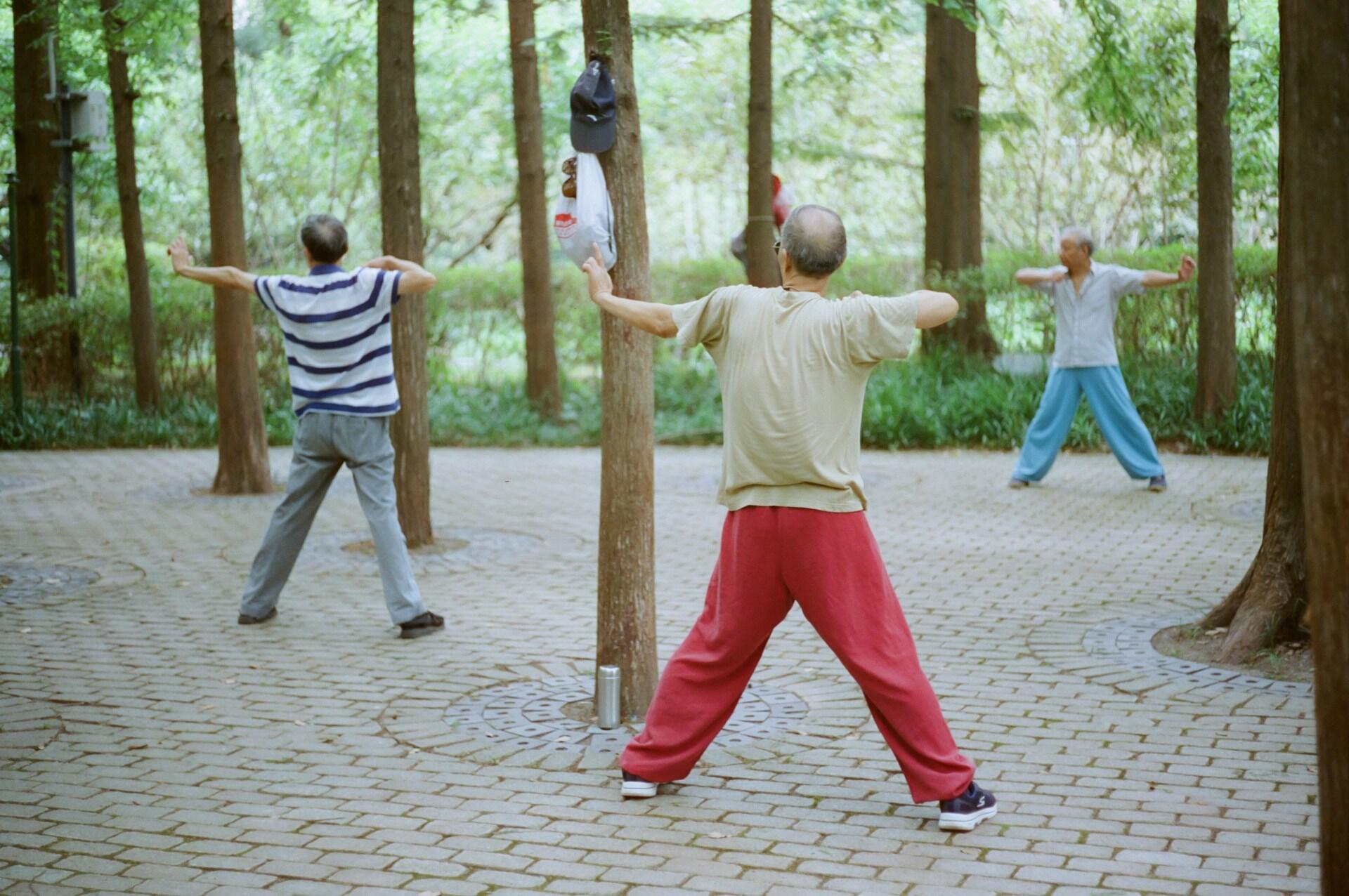 Tai Chi Chuan para iniciantes sendo praticado por idosos