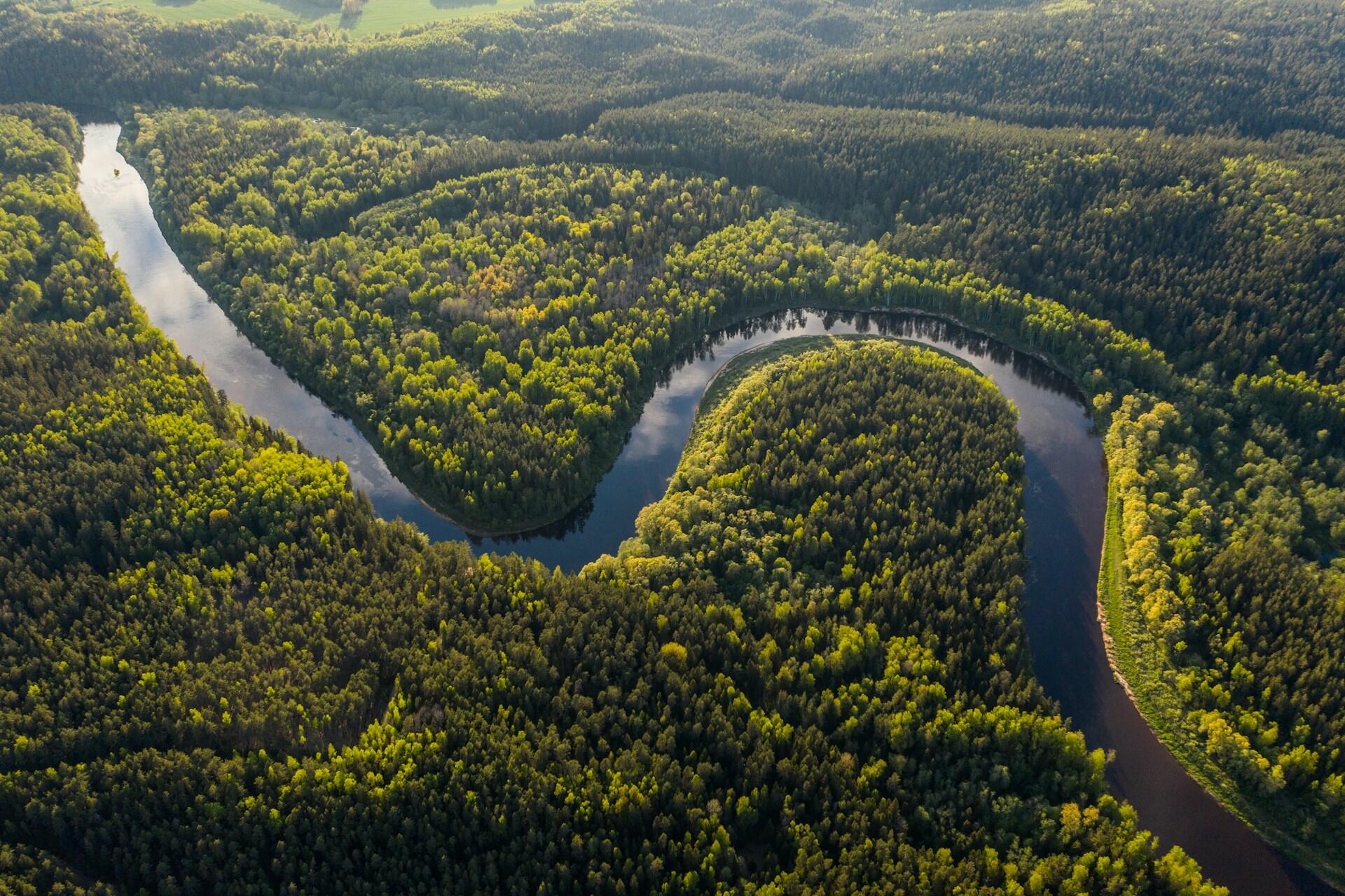 Imagem aérea de um rio e uma floresta densa.