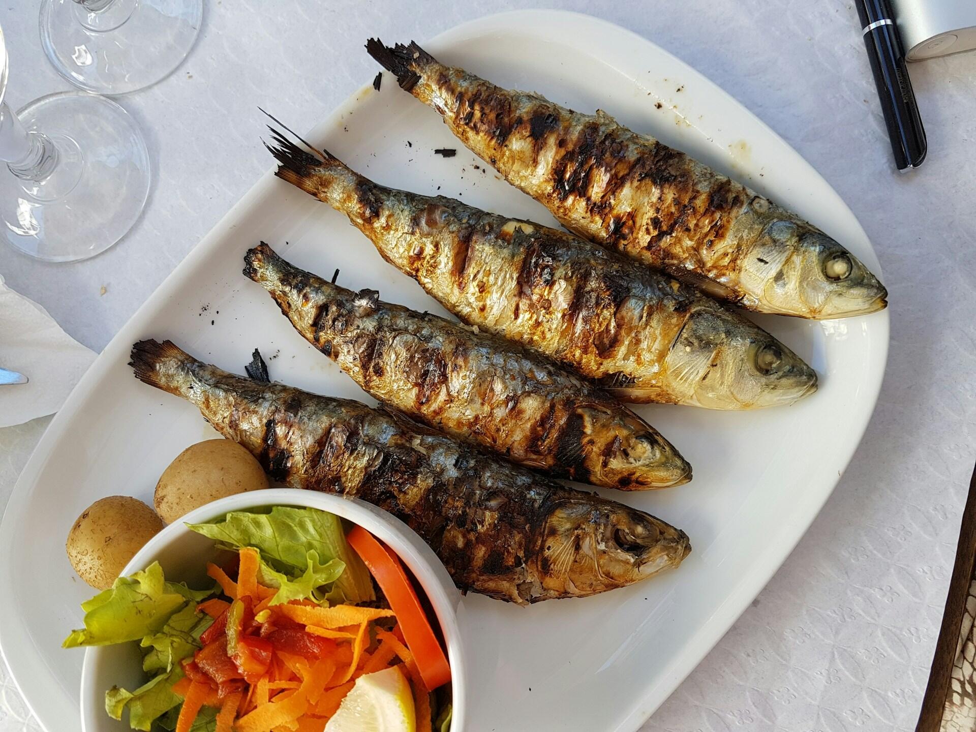 Gorduras poli-insaturadas sardinha
