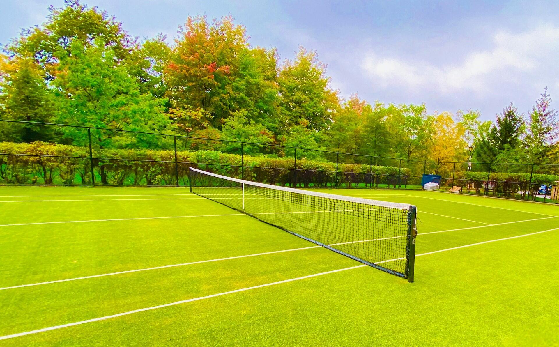 Imagem de uma quadra de tênis de grama.