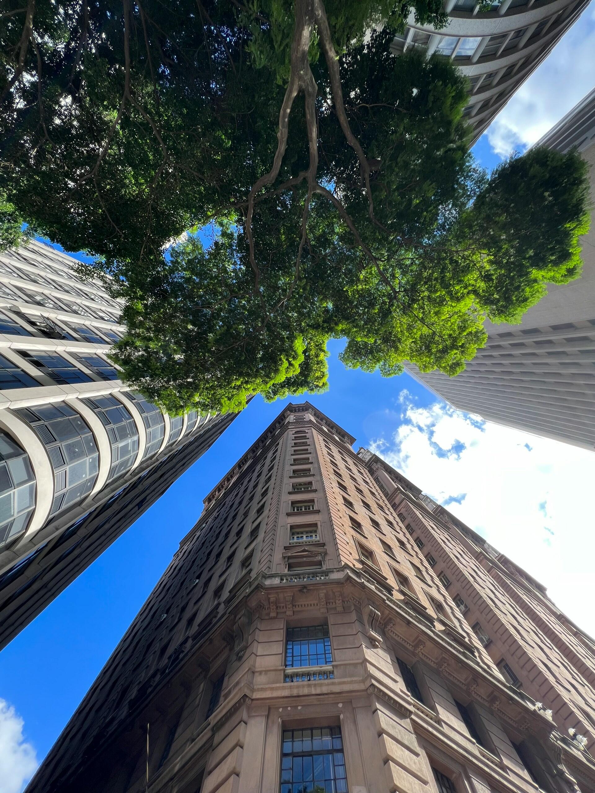 Prédio para curso preparatório Enem em São Paulo