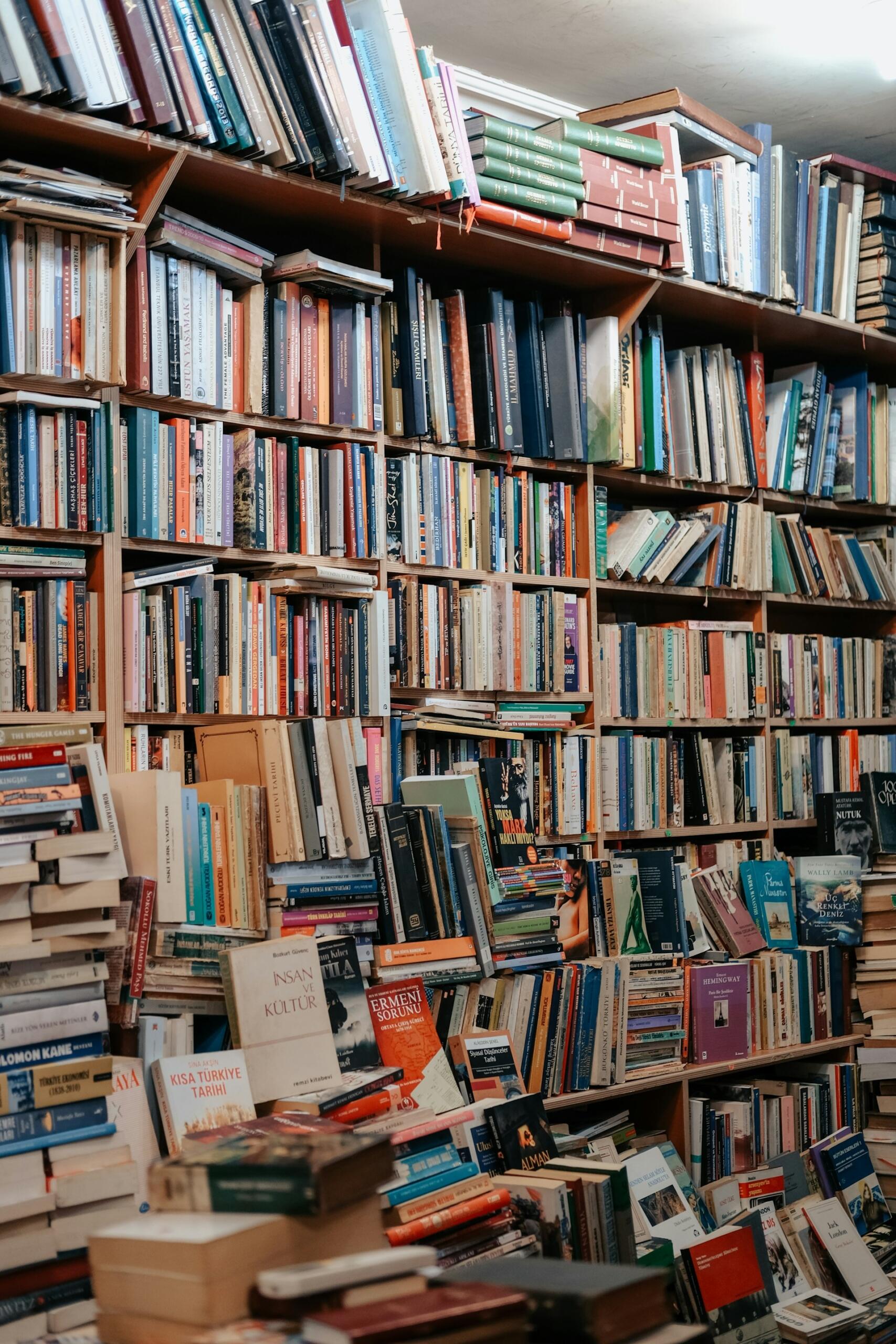 Livros em uma estante grande