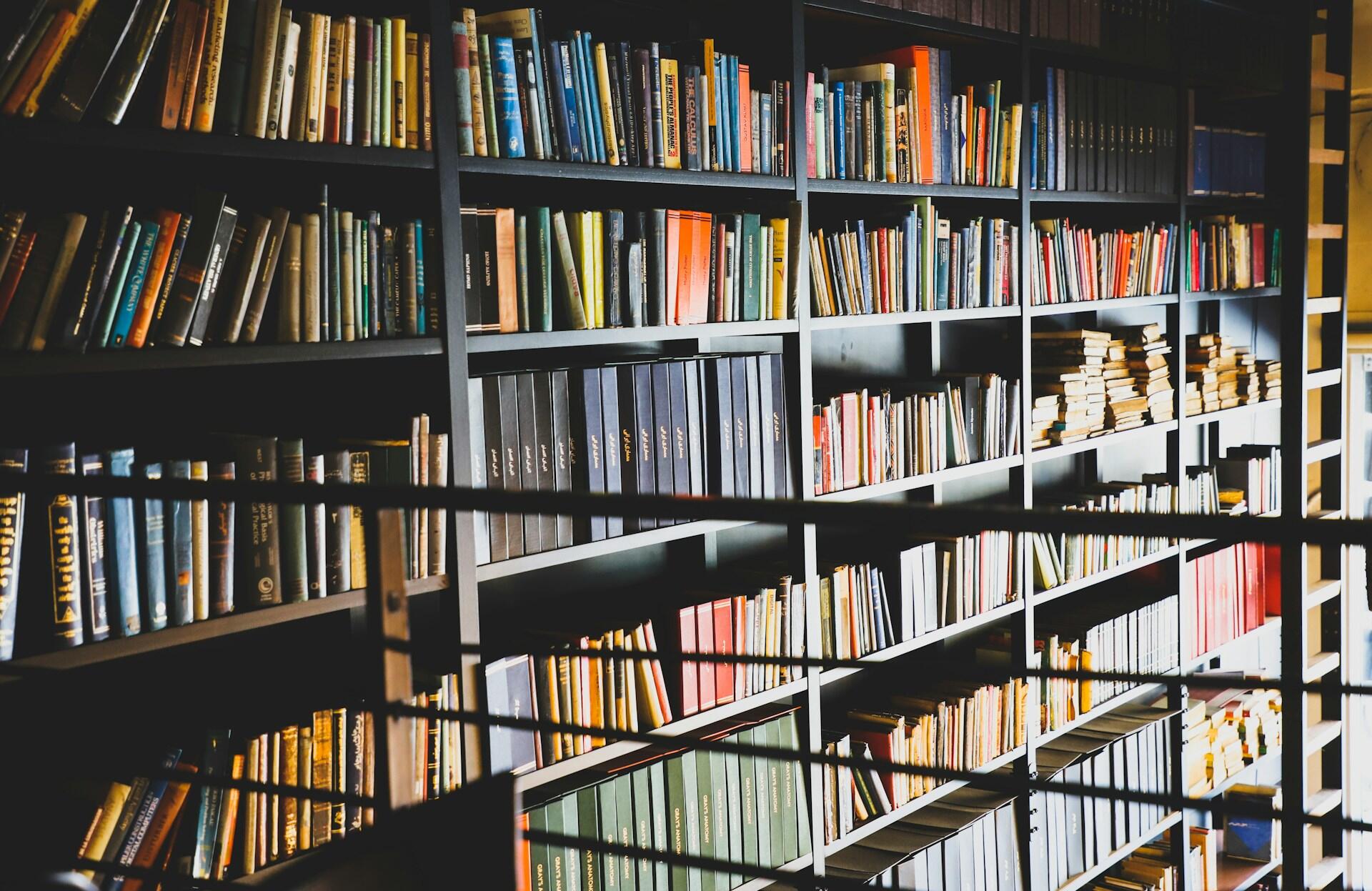 Livros para estudar sobre recursos estilísticos