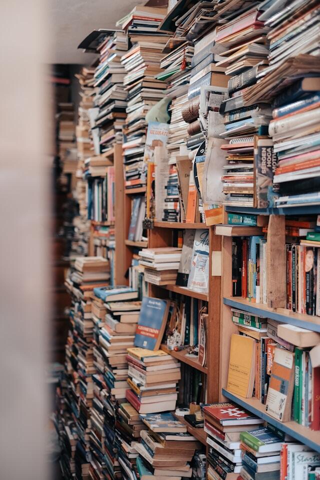 Livros explicando sobre o que é ortografia