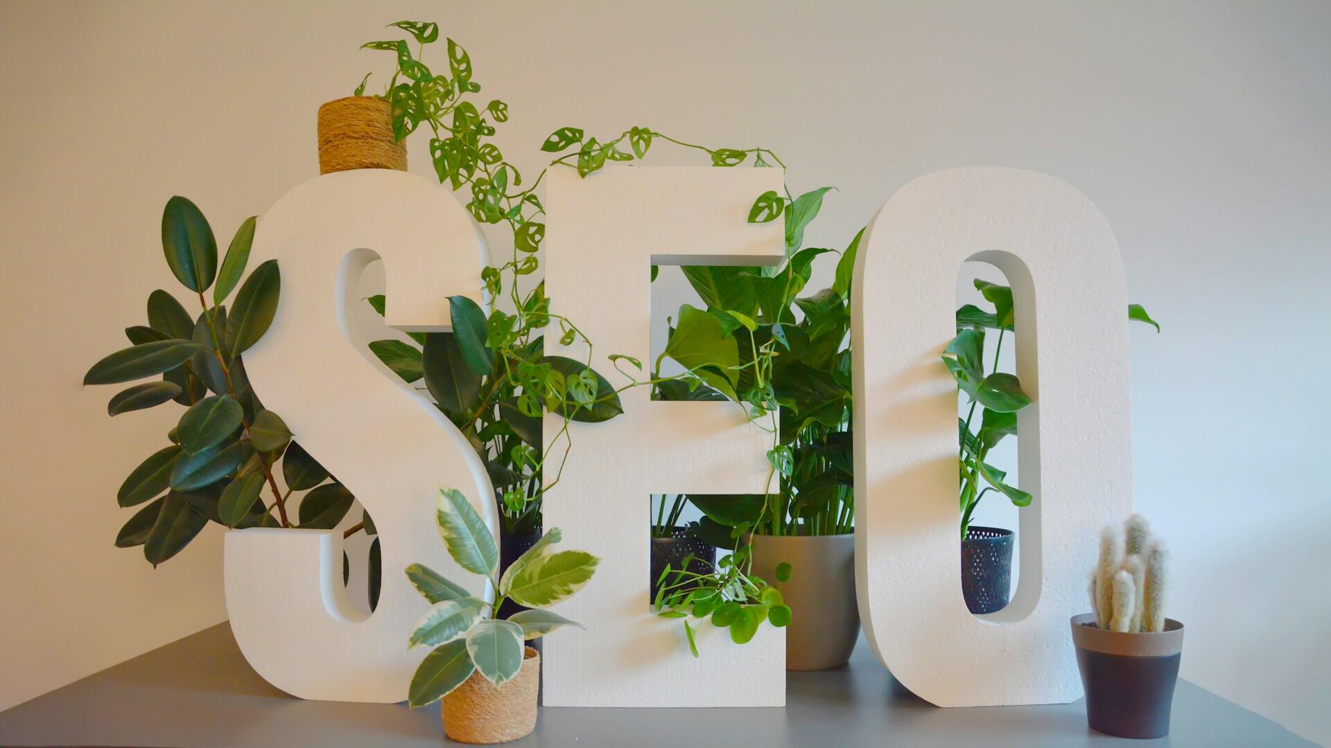 Imagem de letras brancas SEO com plantas ao fundo.