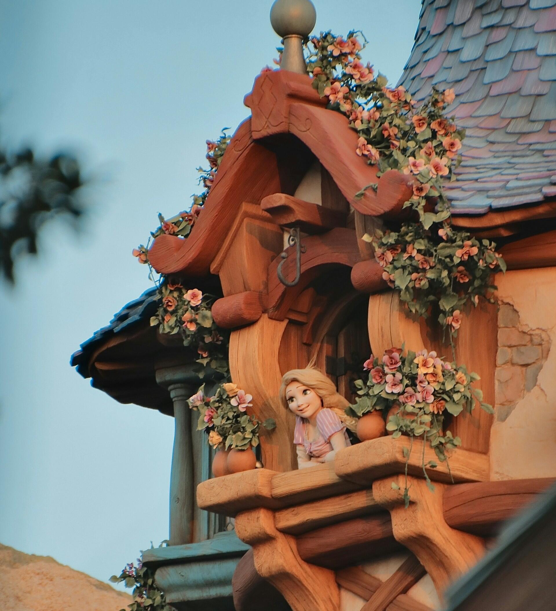 Imagem do desenho animado da Rapunzel na janela da sua torre.