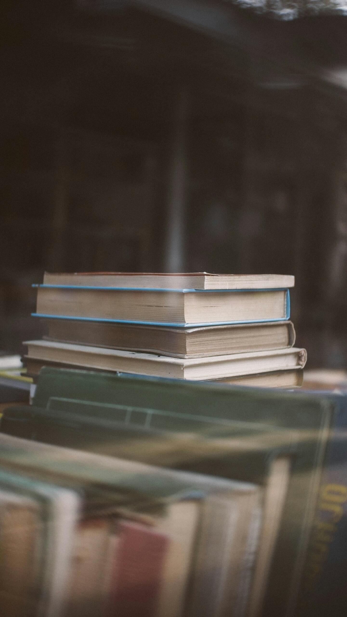 Confira tudo o que precisa saber para estudar direito