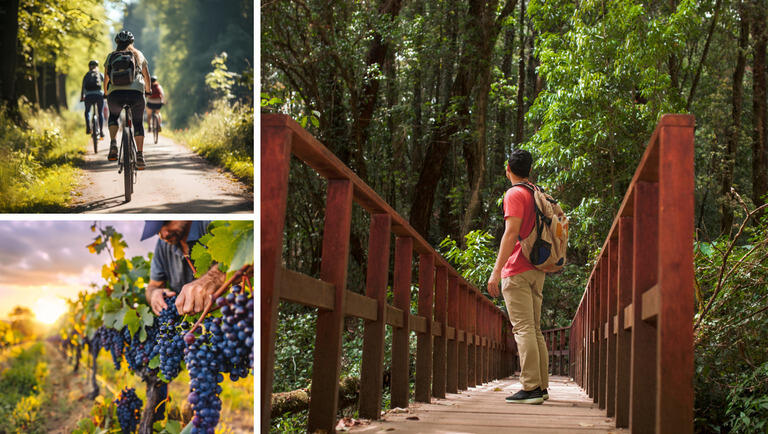 Locais de turismo da região Sul.
