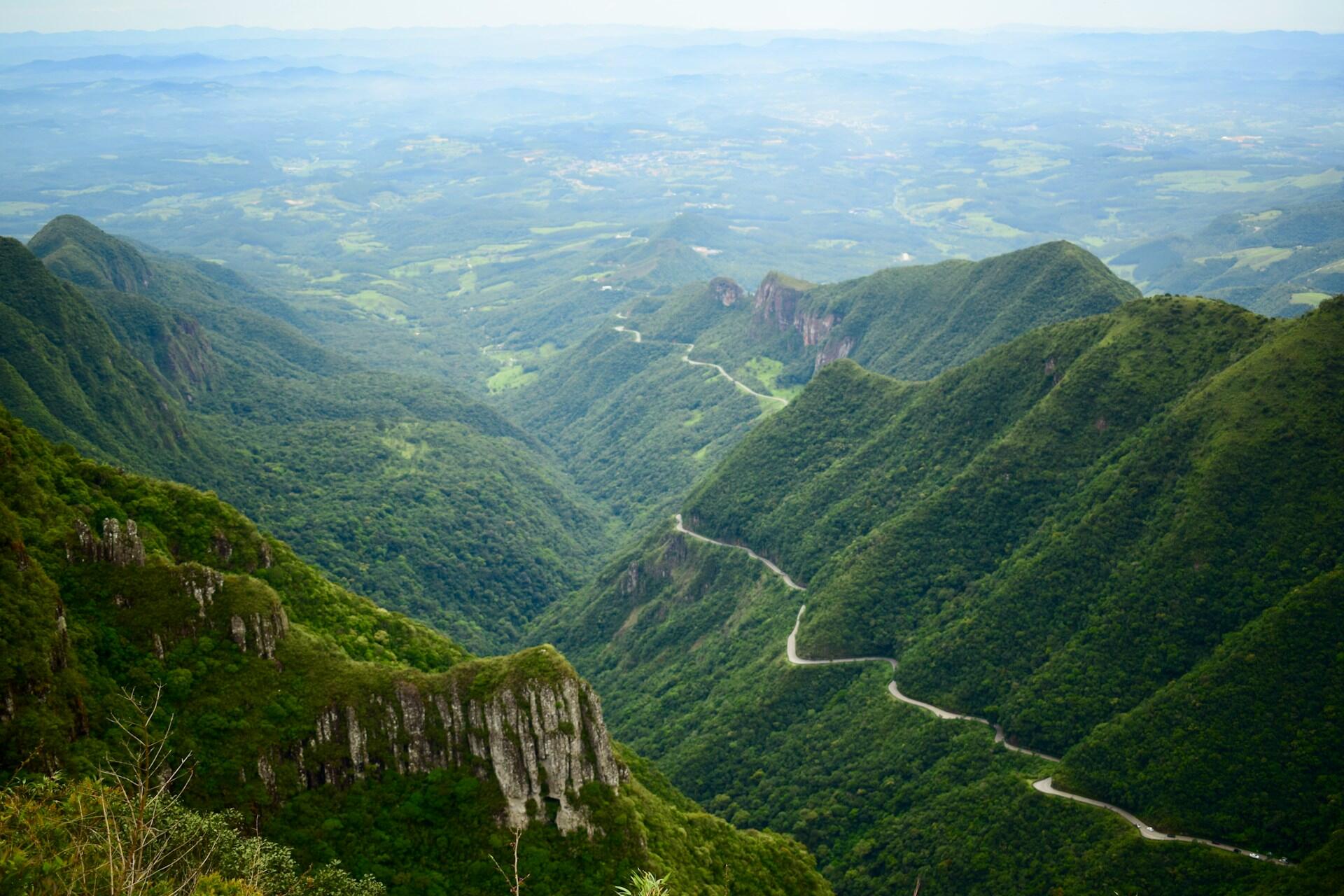 Imagem de uma estrada cortando uma zona florestal brasileira.