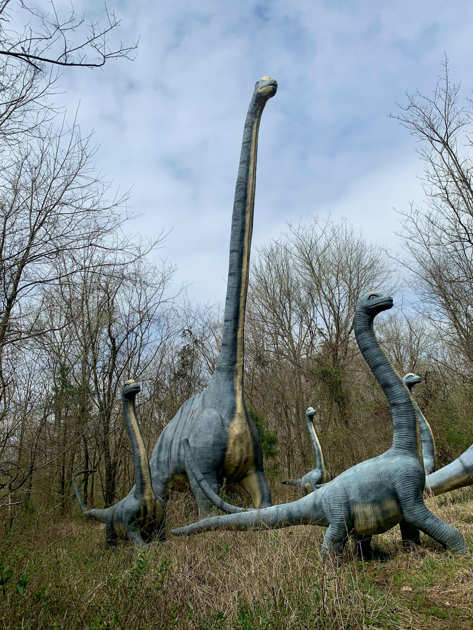 Dinossauro cabeça grande