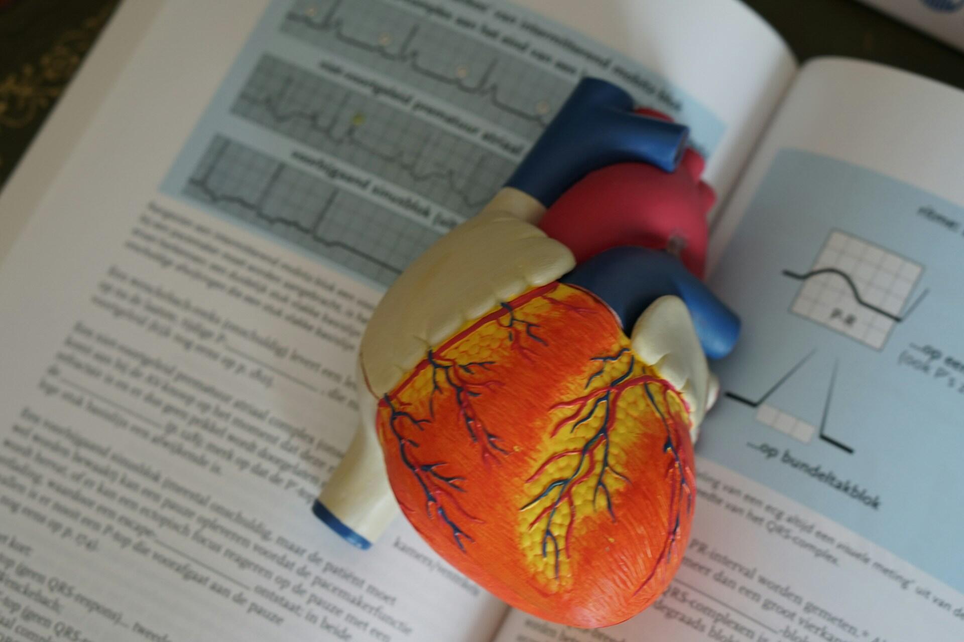Imagem de um coração de plástico sobre um livro de avaliação de eletro.