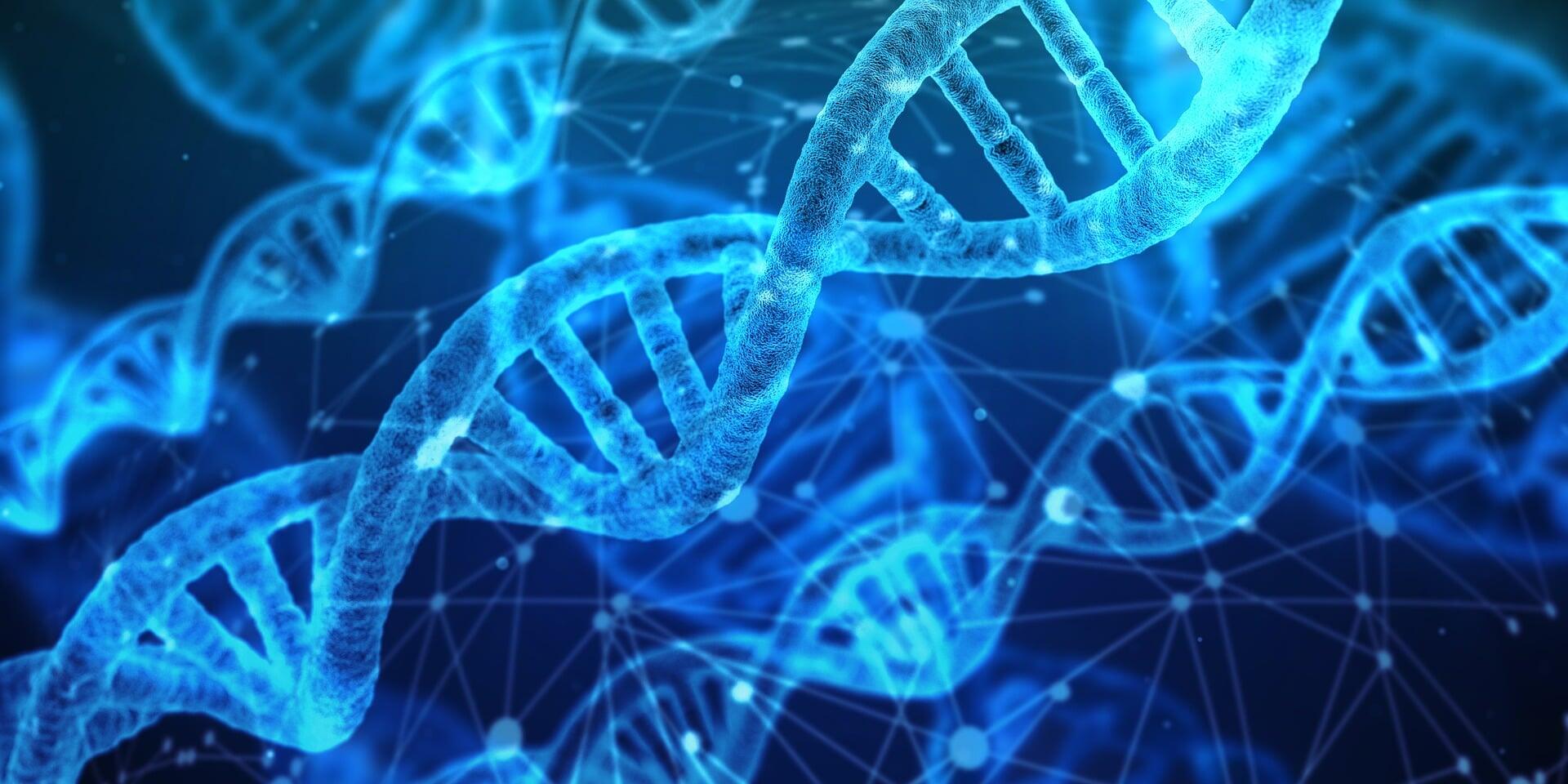 Imagem de um DNA