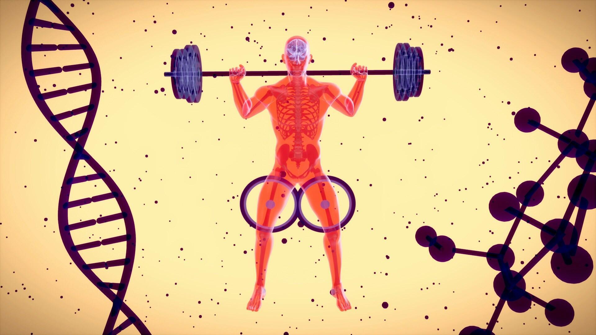 Imagem de um corpo humano e uma molécula de DNA