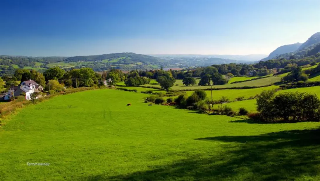 Becoming a tutor in rural areas can be more challenging, depending on demand. Source: Terry Kearney