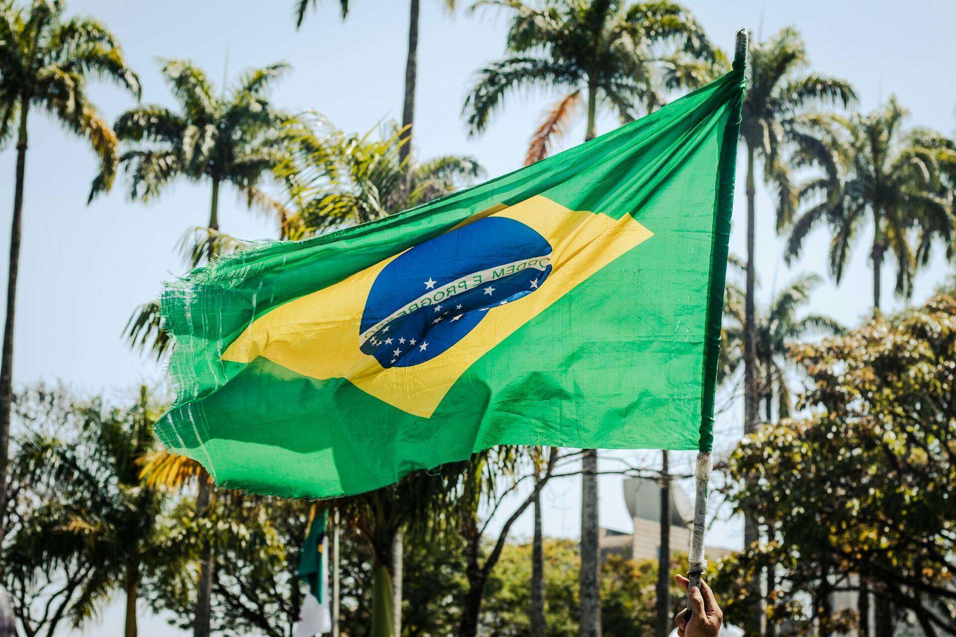 Tattered Brazilian flag waving outdoors with palm trees and blue sky in the background on a sunny day.