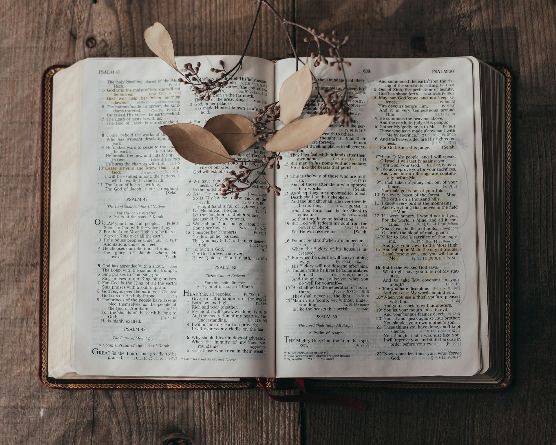 Open Bible showing Psalms with dried leaves and brown plant stem placed on top, resting on a wooden surface.