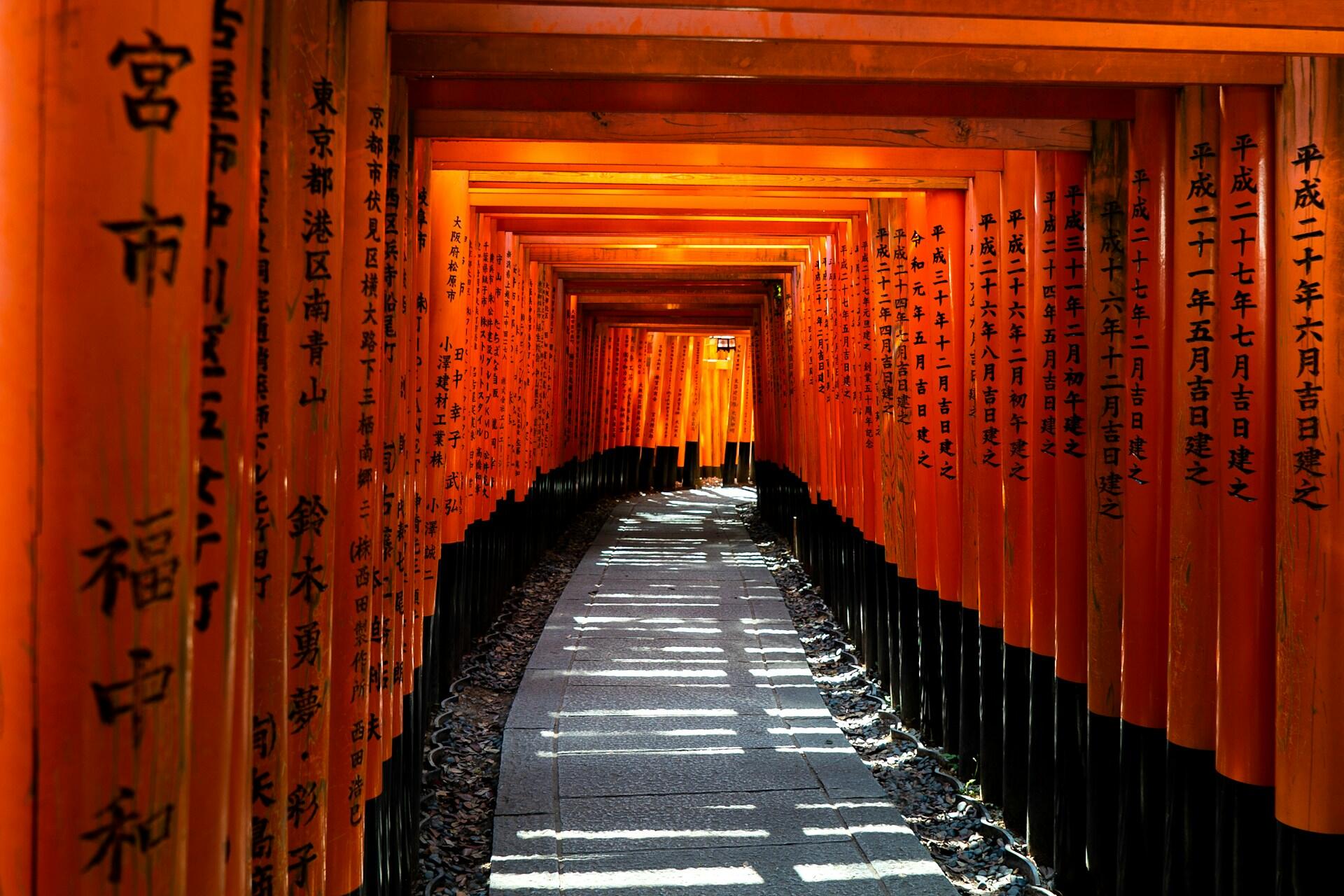 Pathway through vibrant orange torii gates with black Japanese inscriptions, casting patterned shadows on the stone walkway.