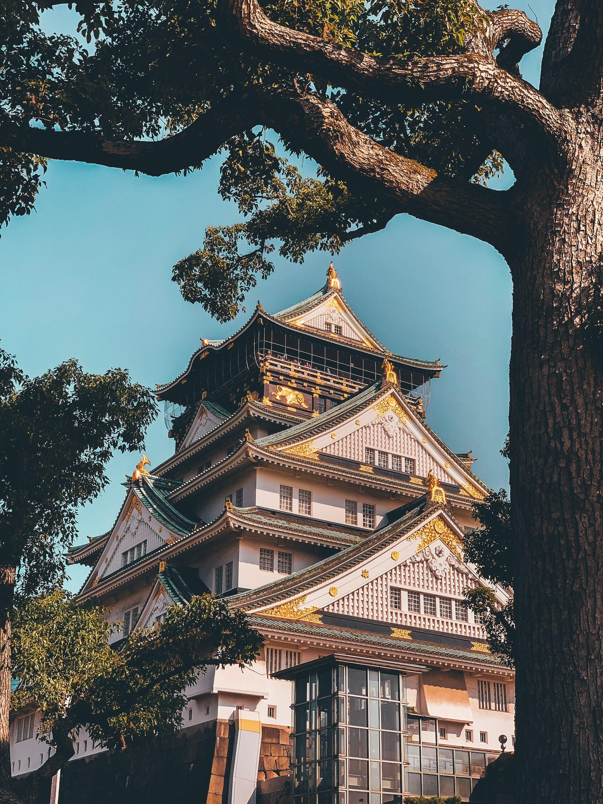 Osaka Castle with traditional Japanese architecture, framed by large tree branches against a clear blue sky.