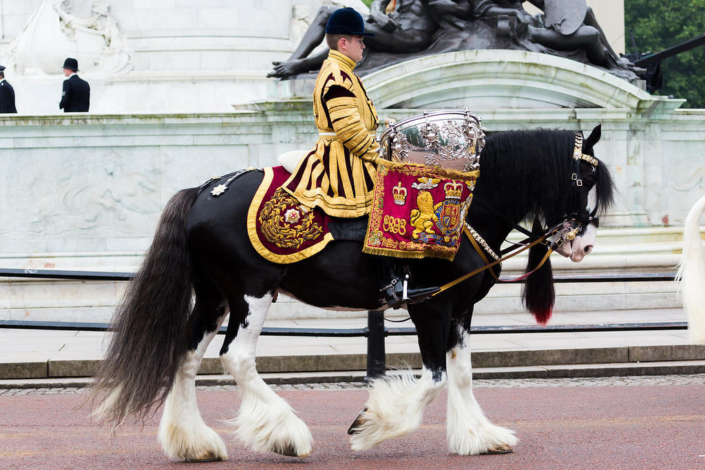 A ceremonial rider in ornate uniform plays mounted silver kettle drums during a British parade.