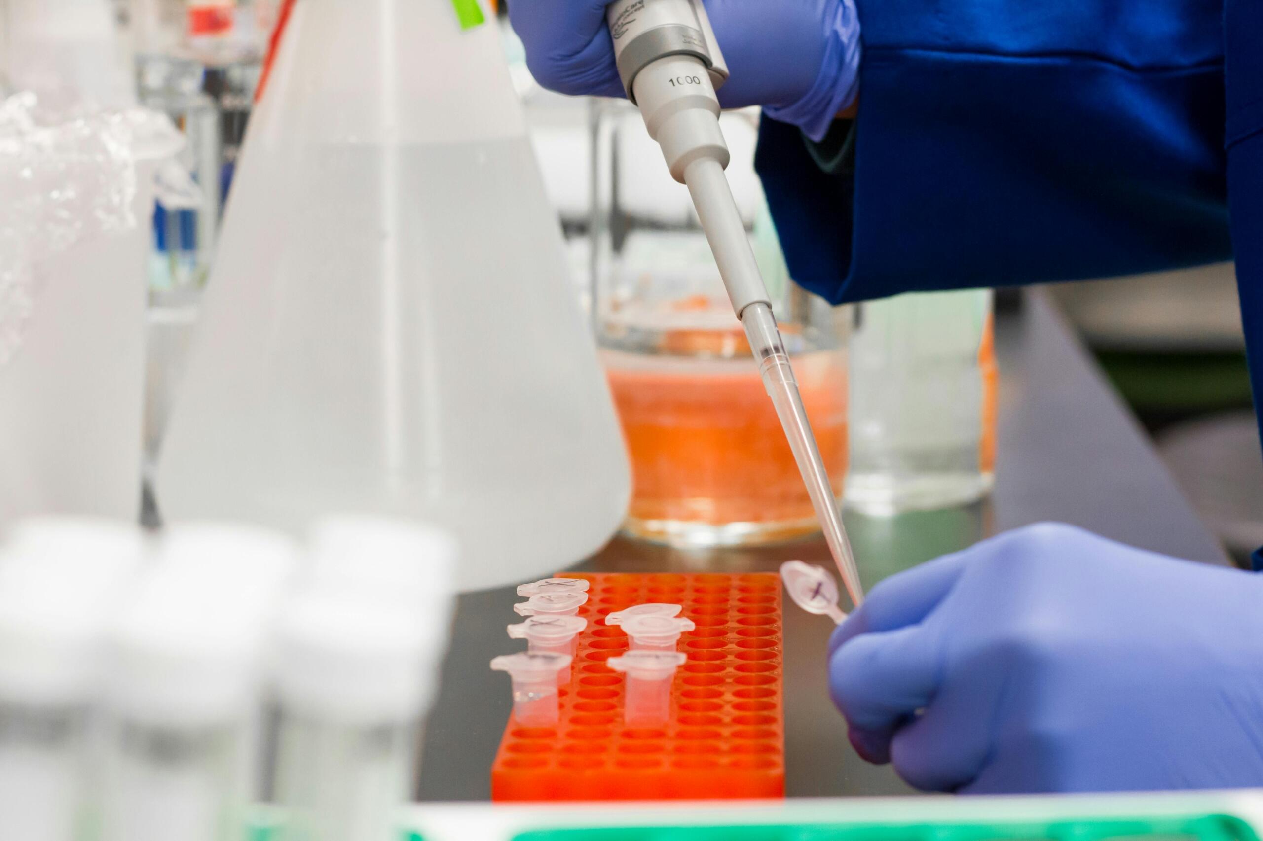 A modern lab. Gloved hands drop a substance into test tubes.