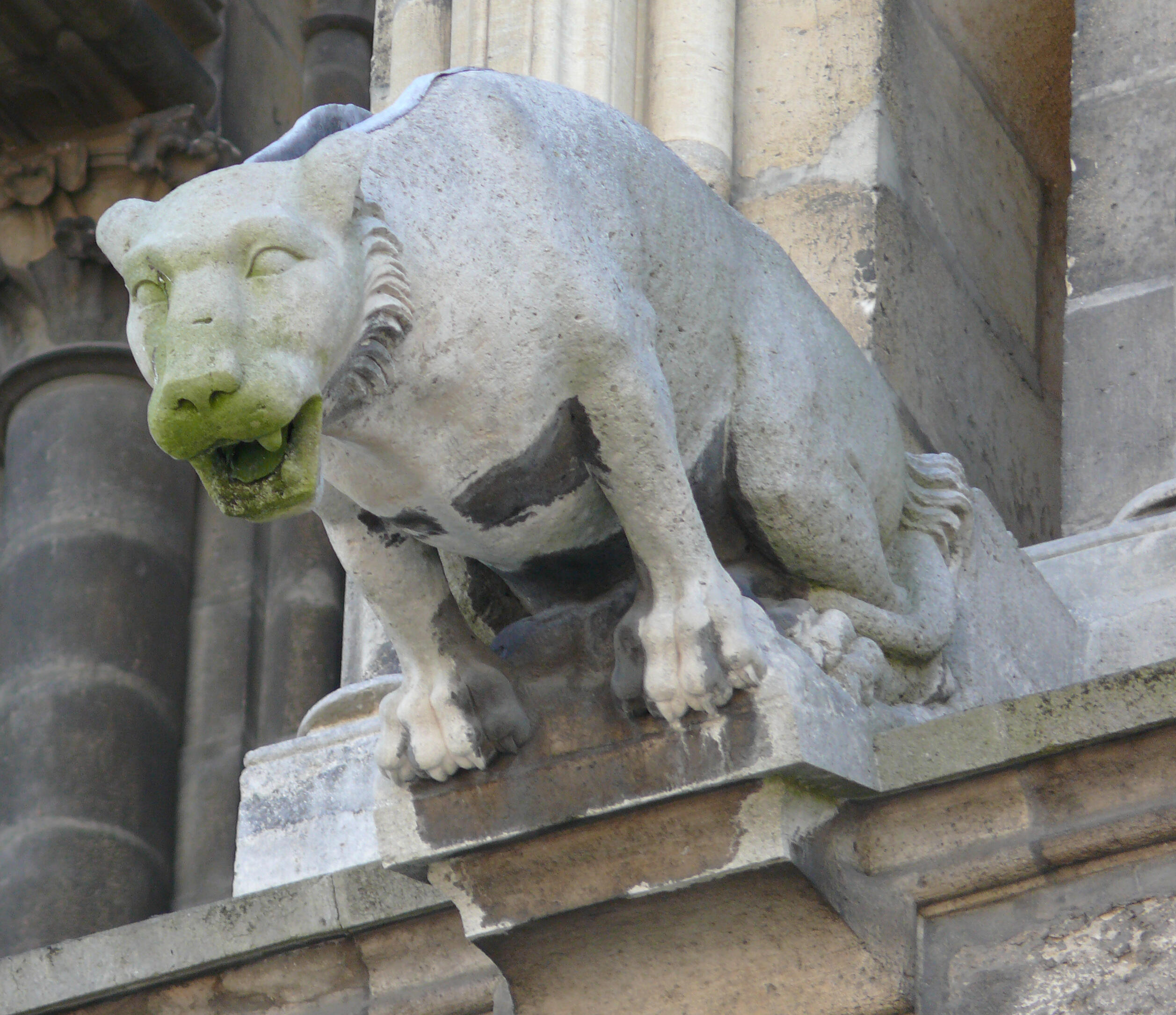 Stone gargoyle projecting from a Gothic cathedral, serving as both decoration and a rainwater spout.