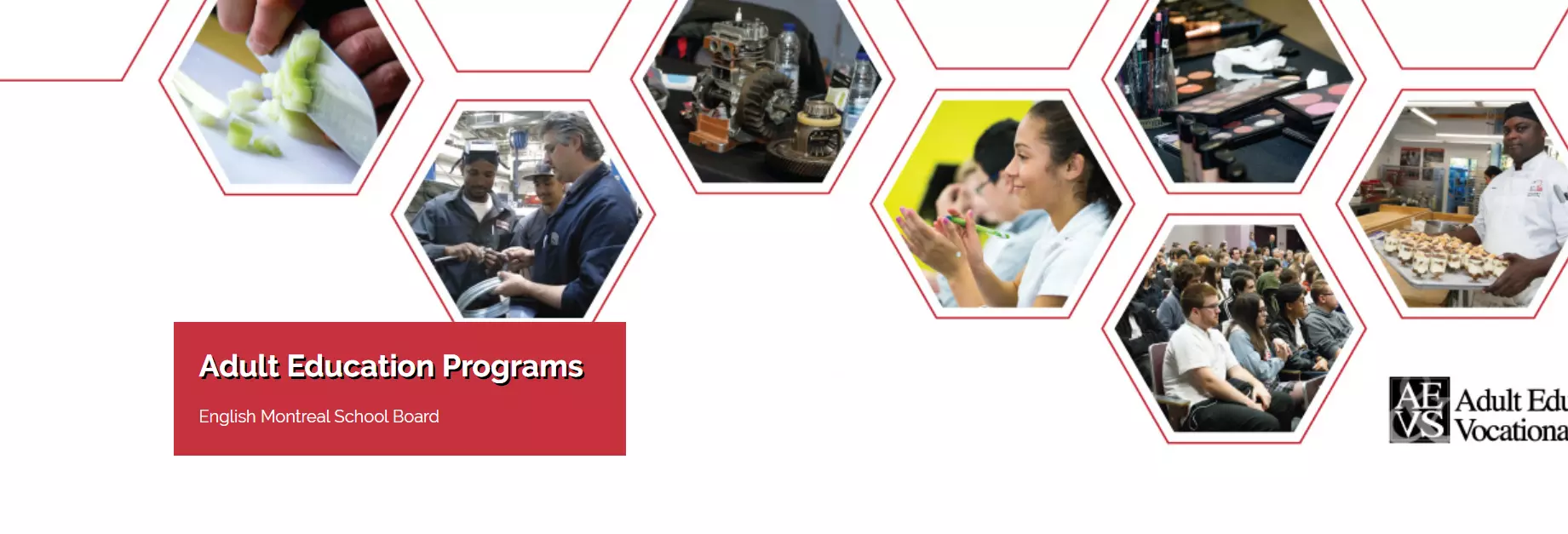 Adult education and vocational training at EMSB.