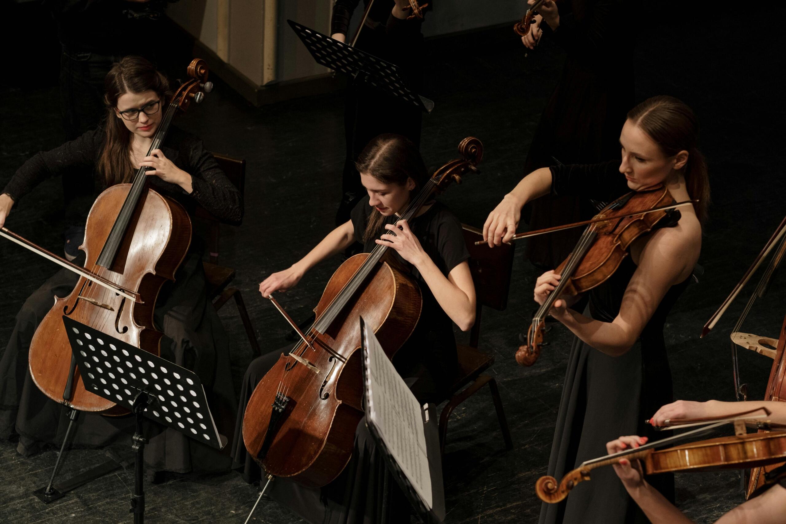 a group of women play different instruments in the violin family, including the cello, viola, and violin. All are wearing black.