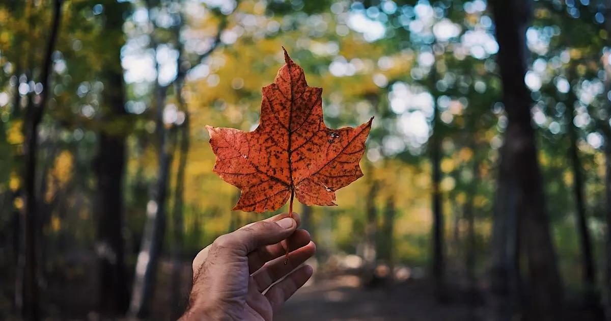 Canada is biologically diverse.