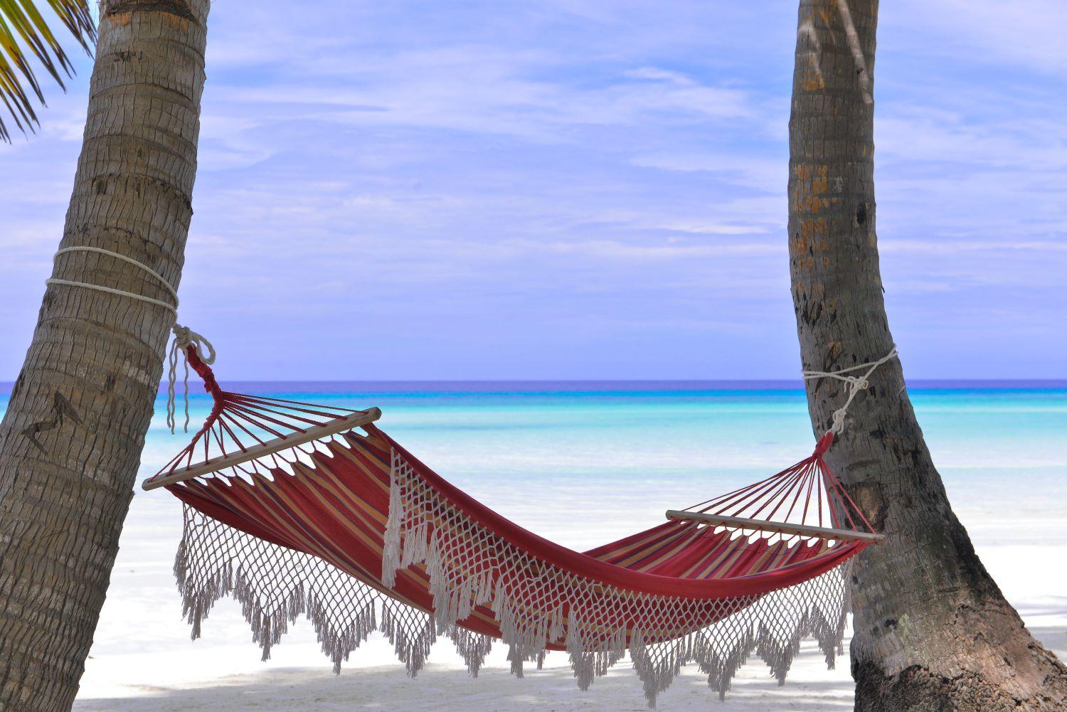 Hammock tied between two trees