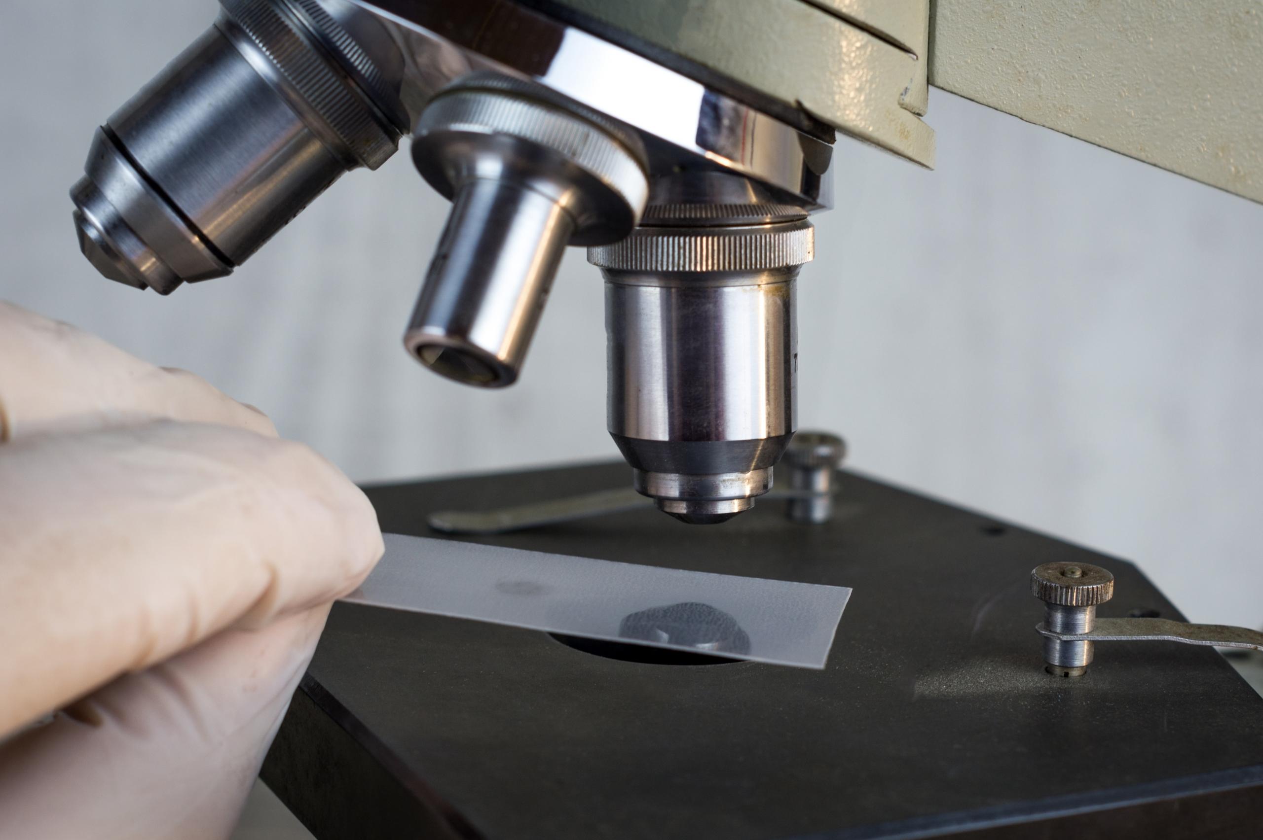a student uses a microscope.