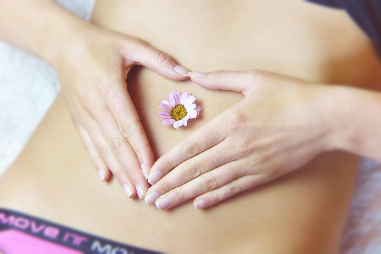 Meal plans for digestive health in montreal