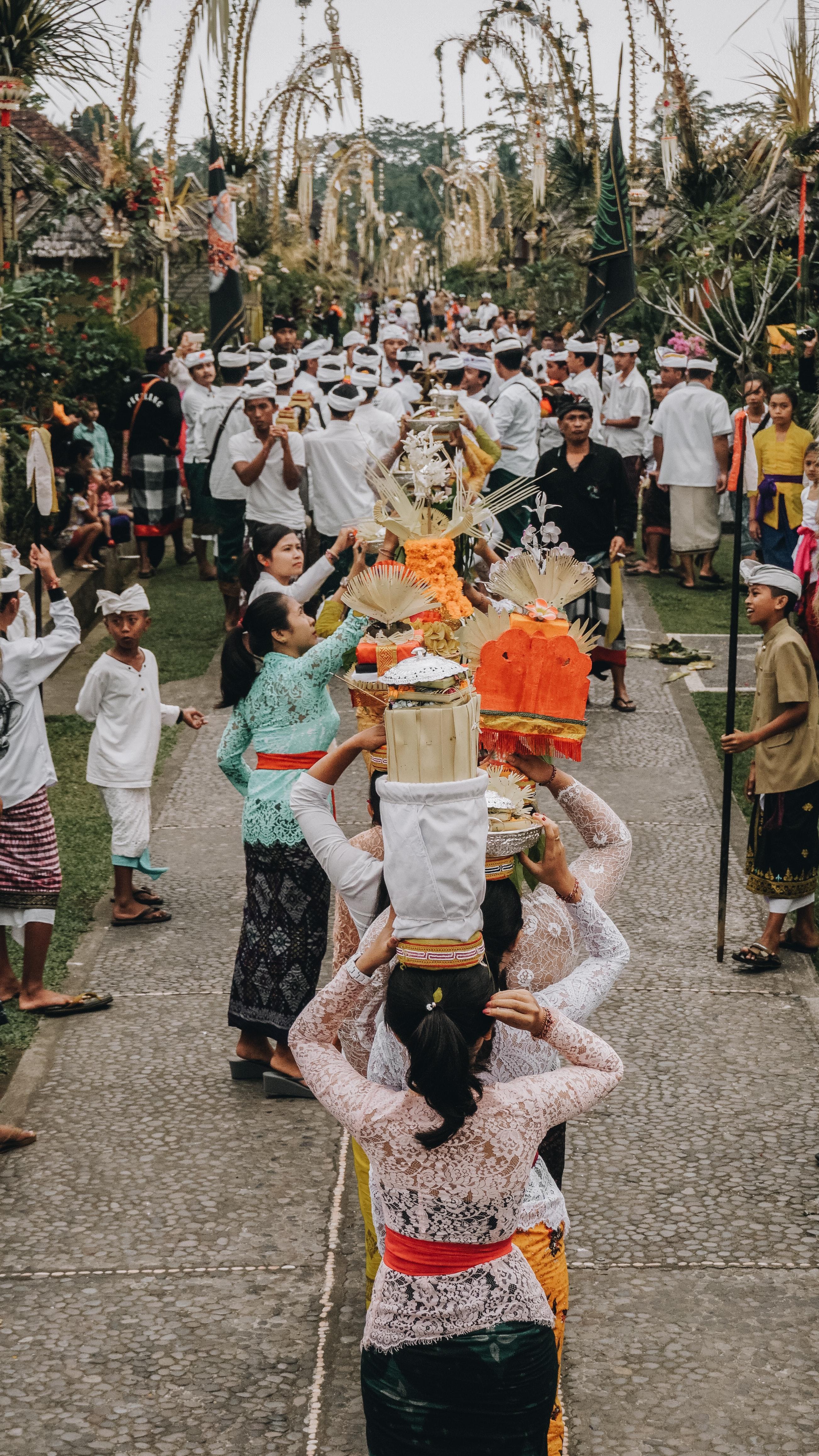 Festival