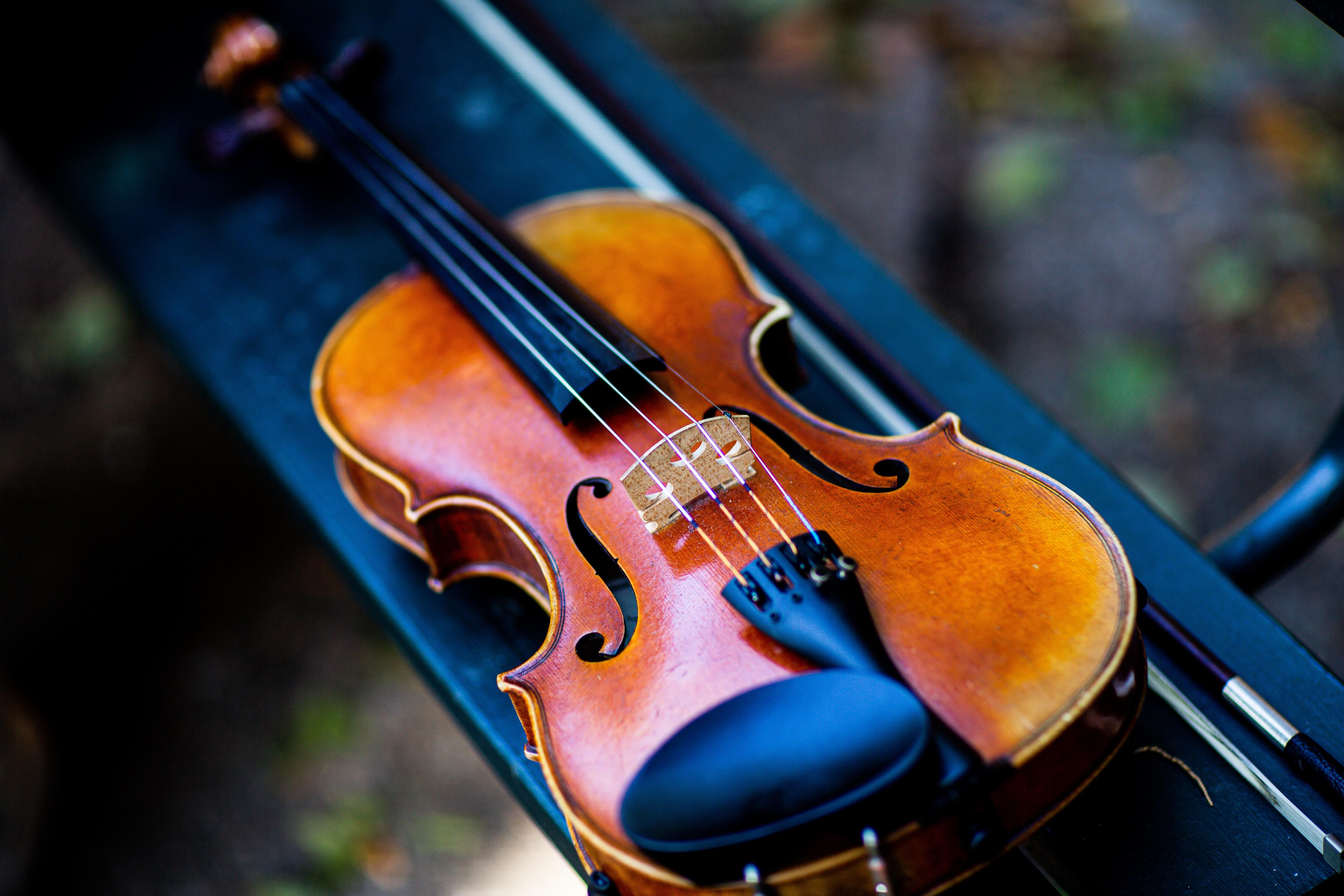 Teach the violin the way you want.