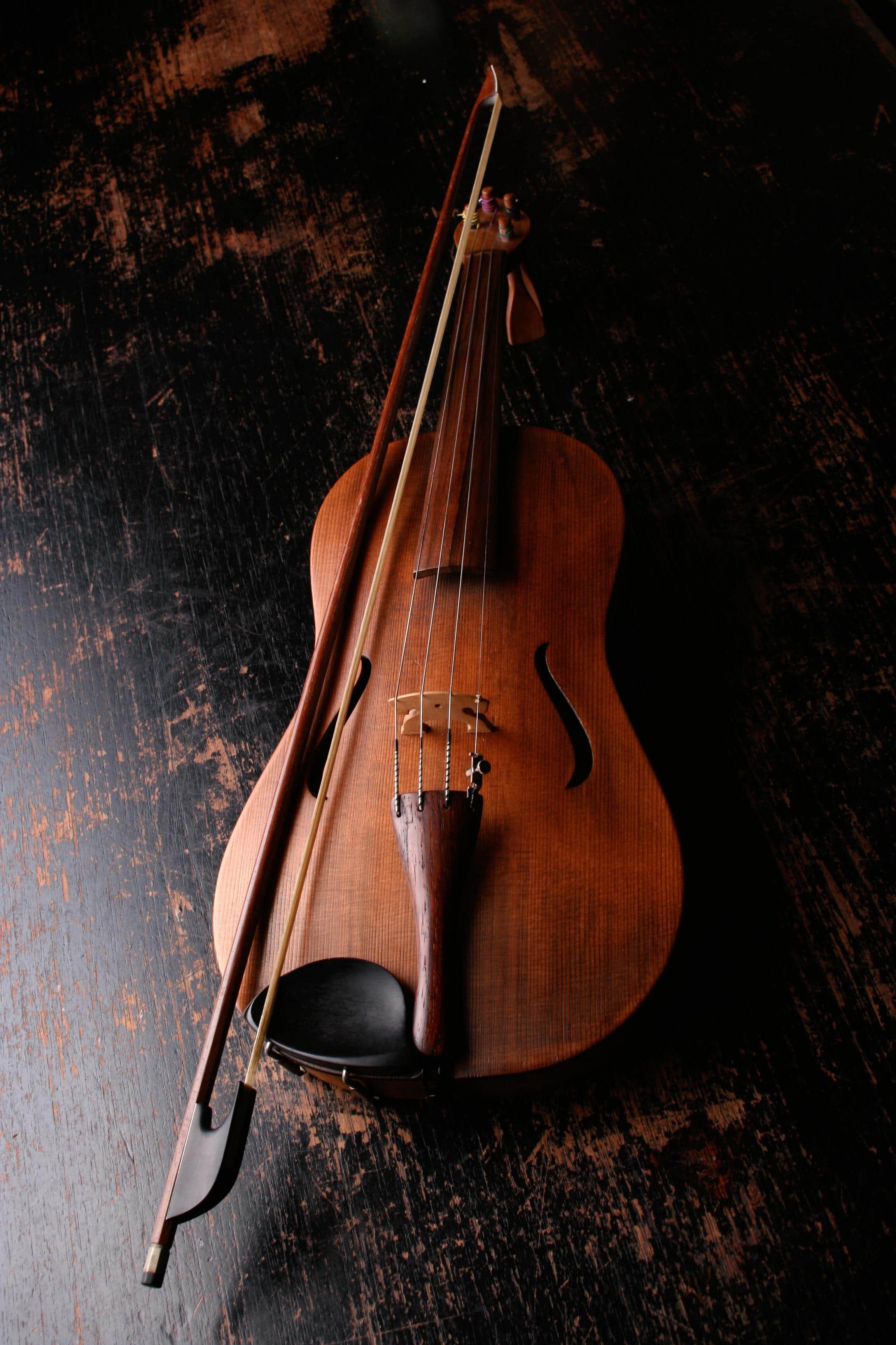 Take the steps you need to become a violin teacher. 