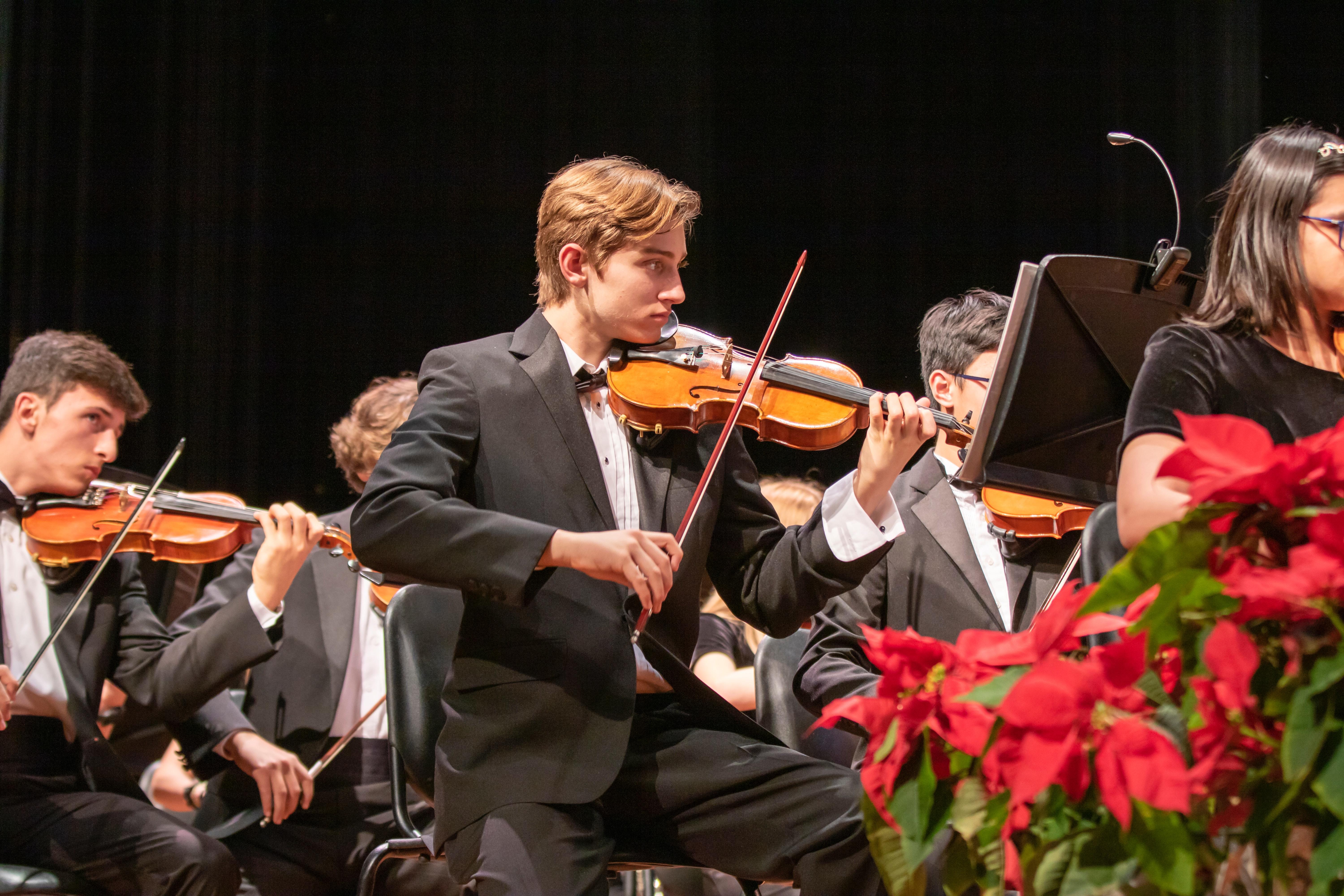 The violin play in an important part in the orchestra. 