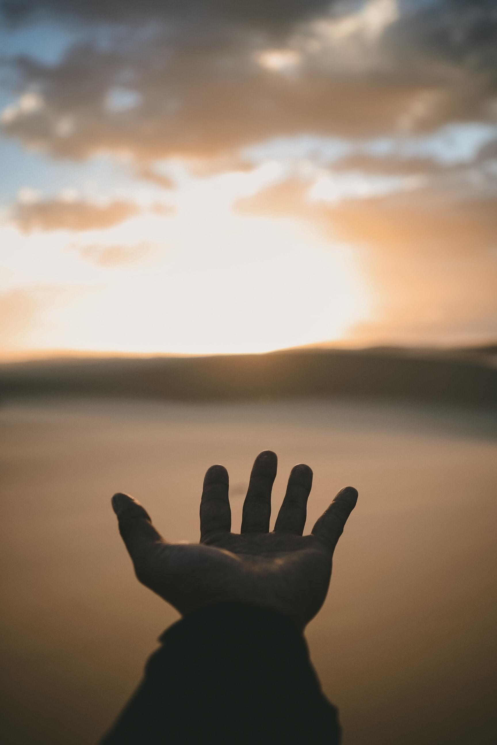 Hands