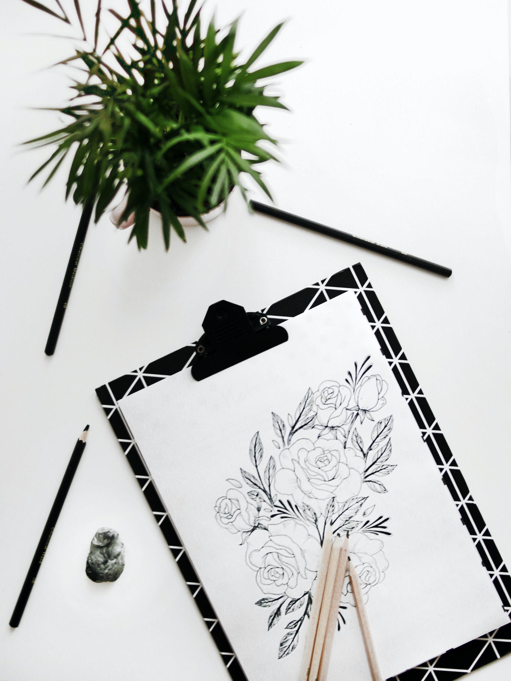 Drawing lessons help you learn faster and easier.