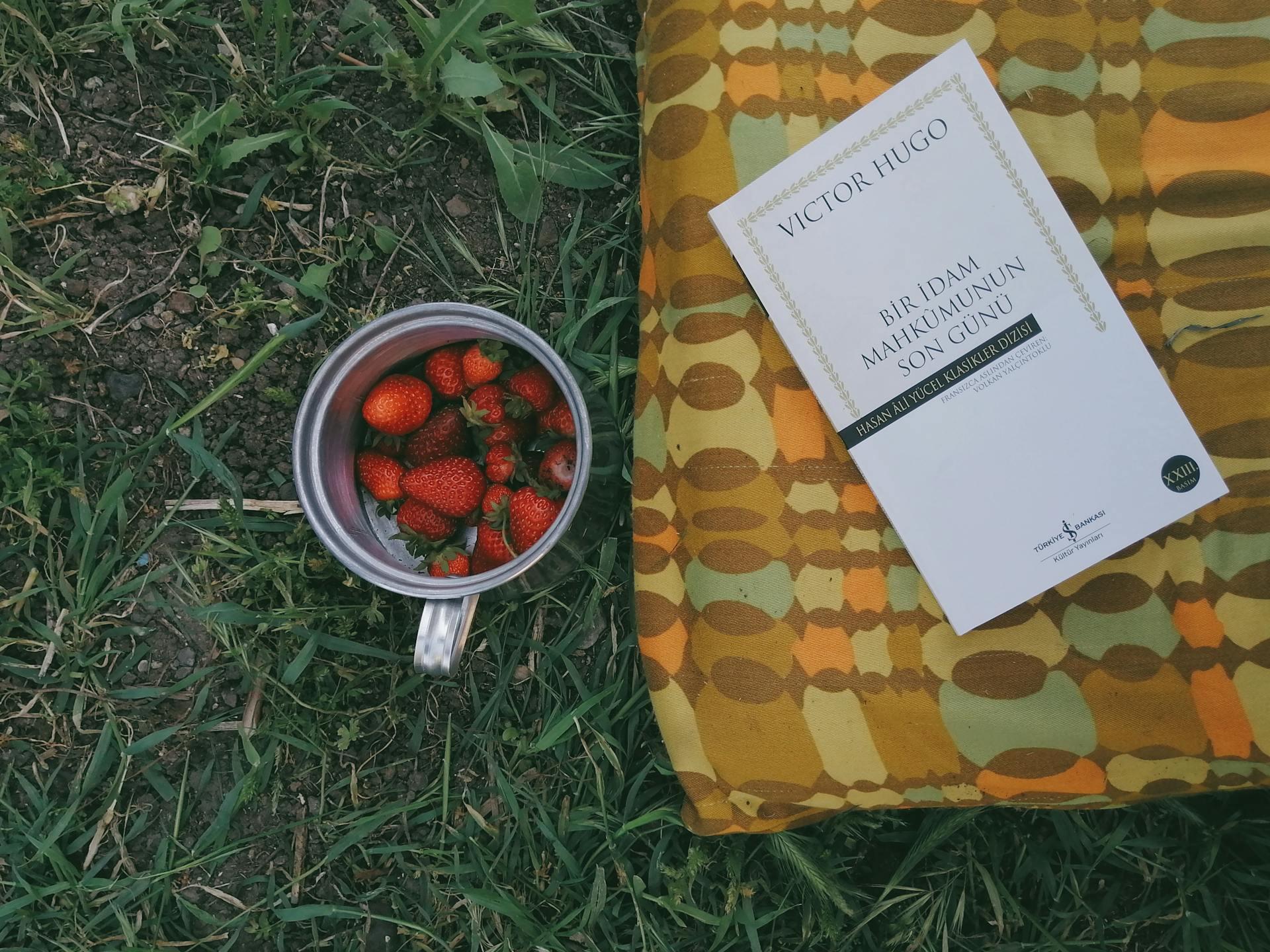 Strawberries on a stainless steel mug beside a book
