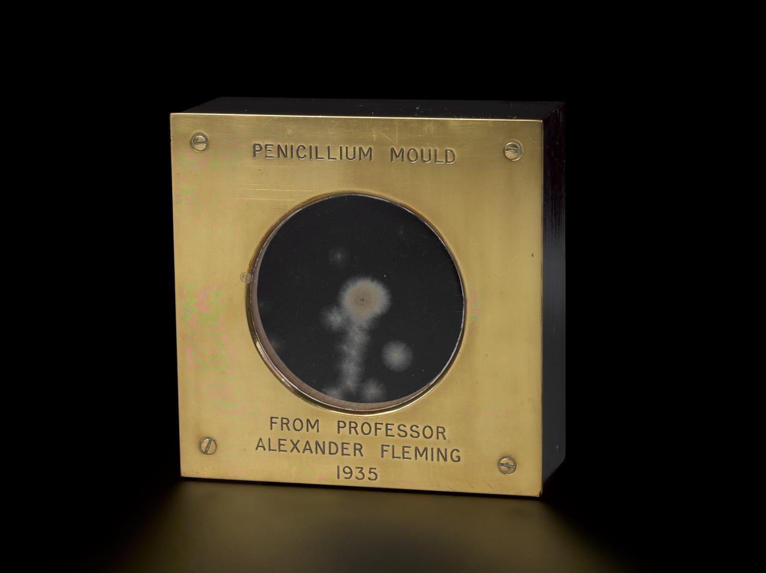 Penicillium mould sample from 1935 preserved in a brass and wood display case, credited to Professor Alexander Fleming.