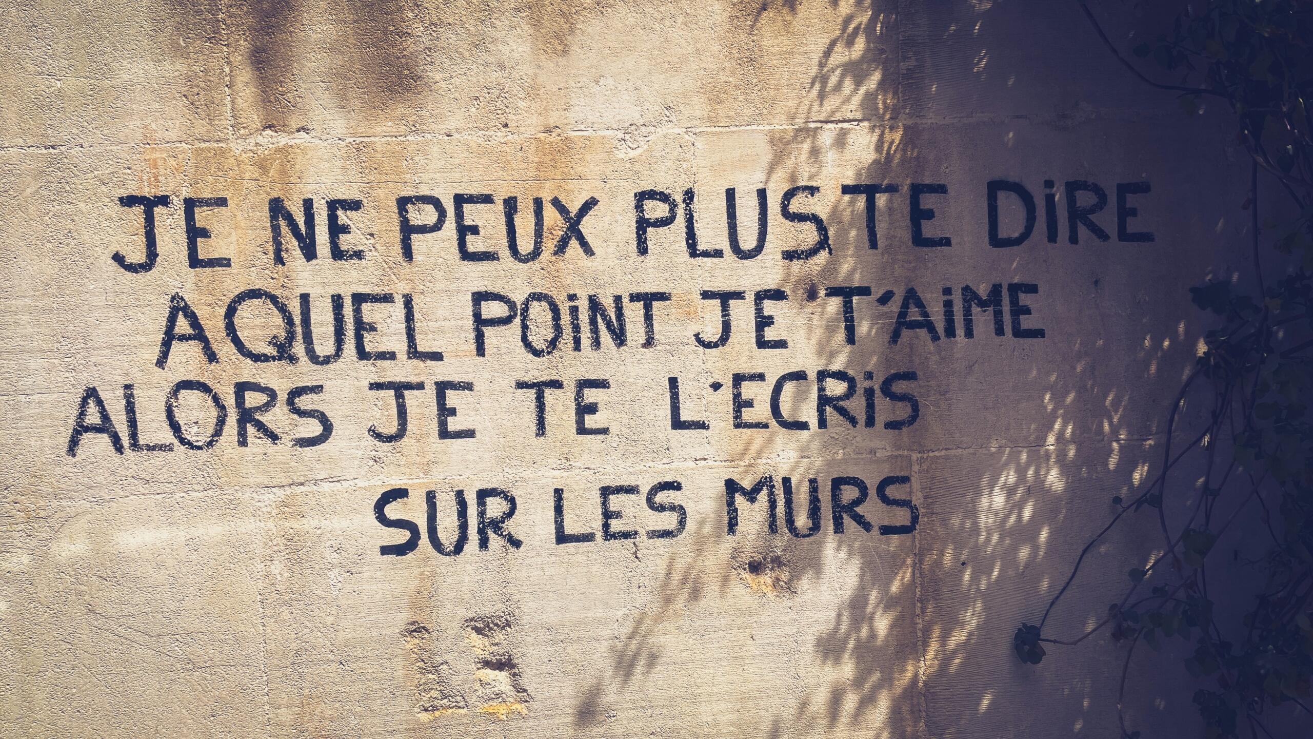 French graffiti on a sunlit stone wall reads: “Je ne peux plus te dire à quel point je t’aime alors je te l’écris sur les murs,” with shadows of leaves partially covering the surface.
