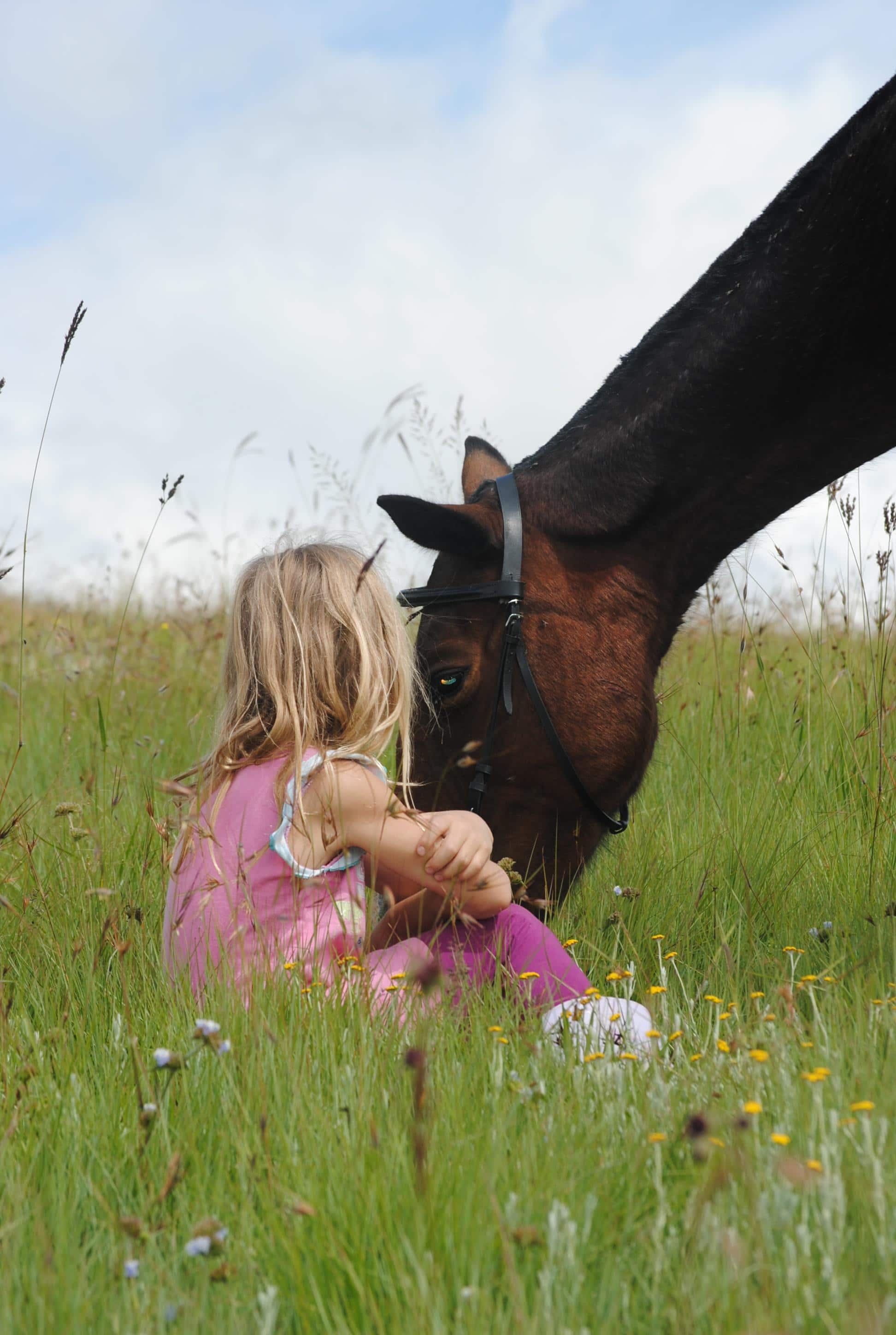 a girl sits in a field with a horse