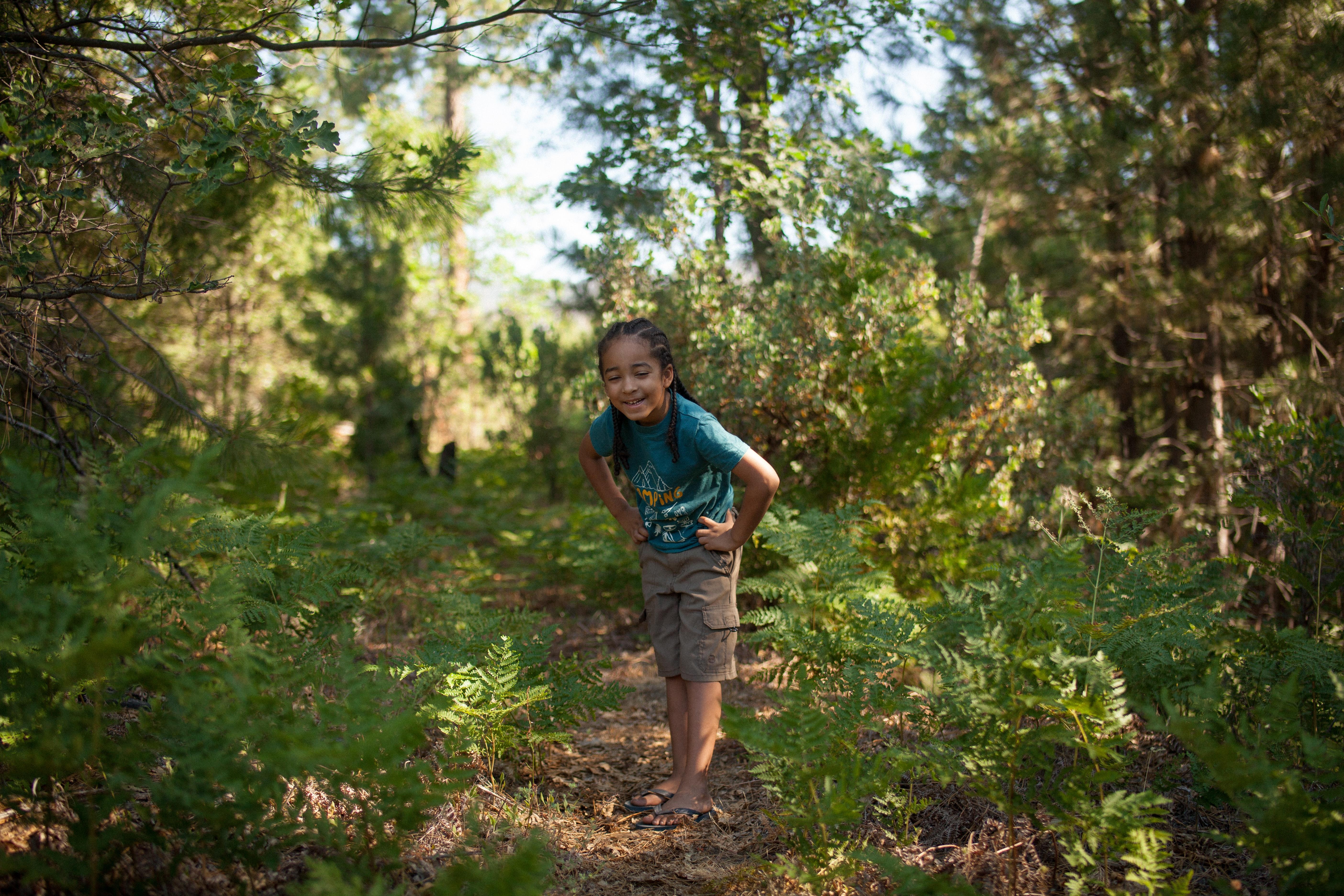 a child explores a forest.