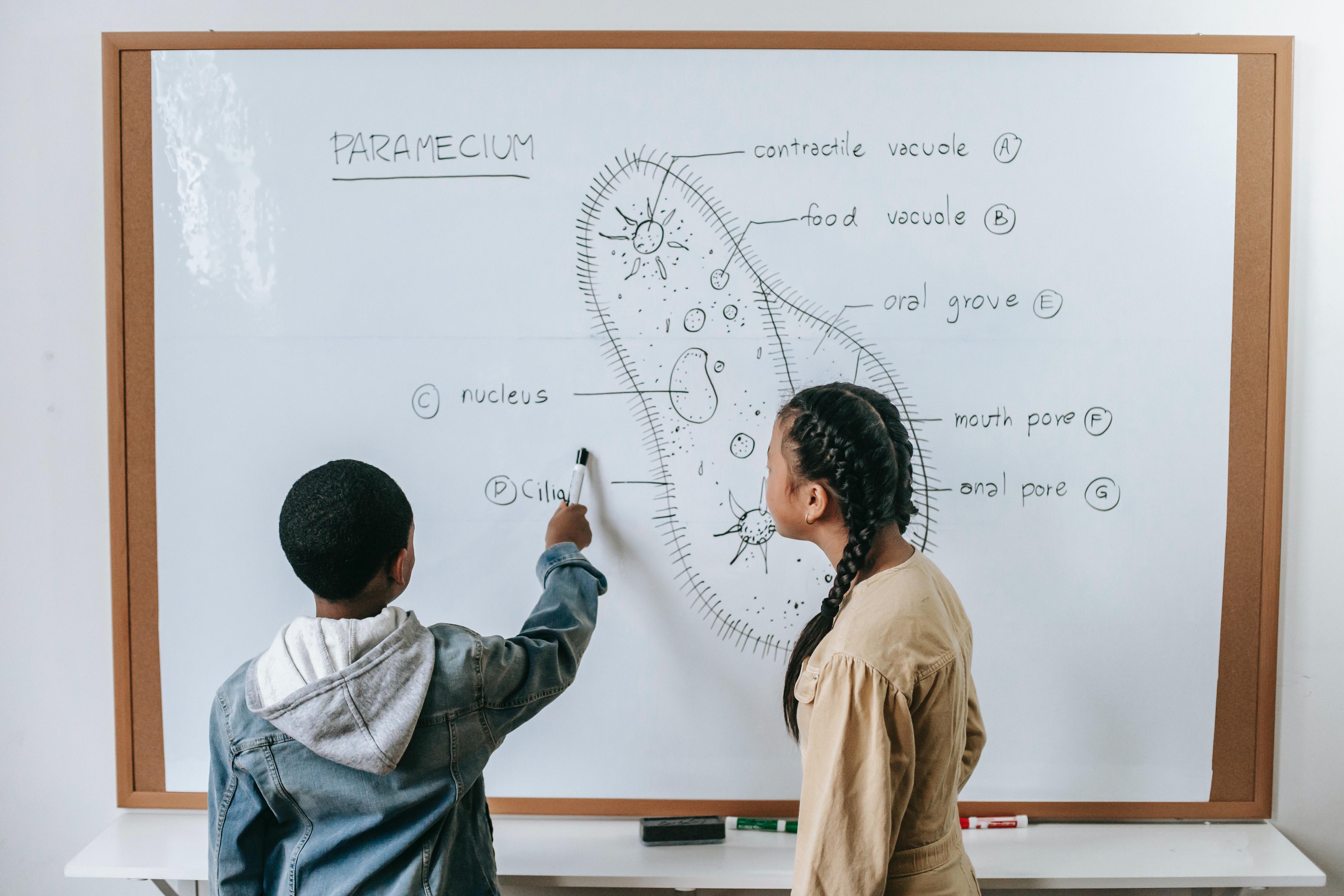 Working with a tutor can offer some assistance.