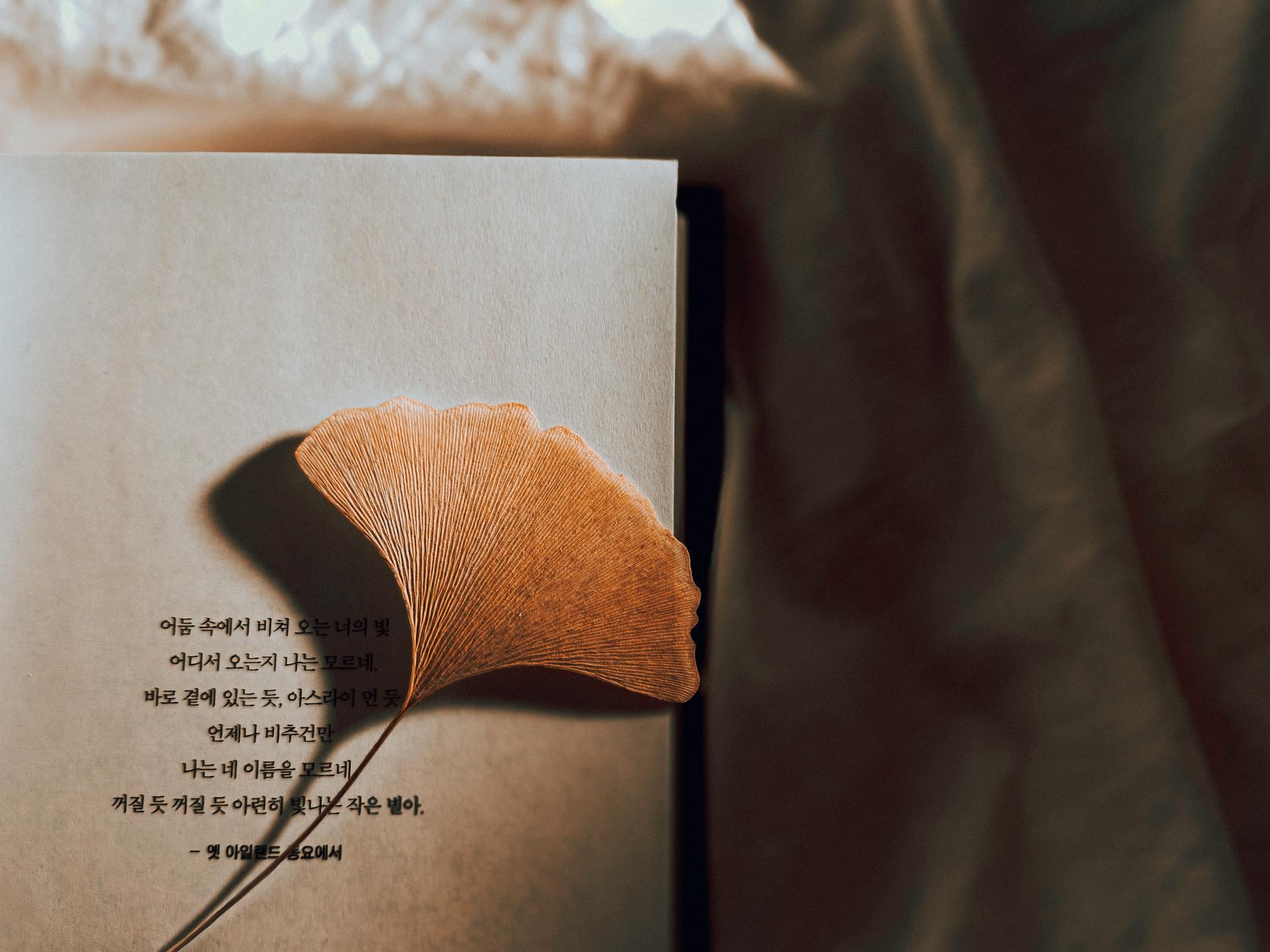 korean sentences on a book