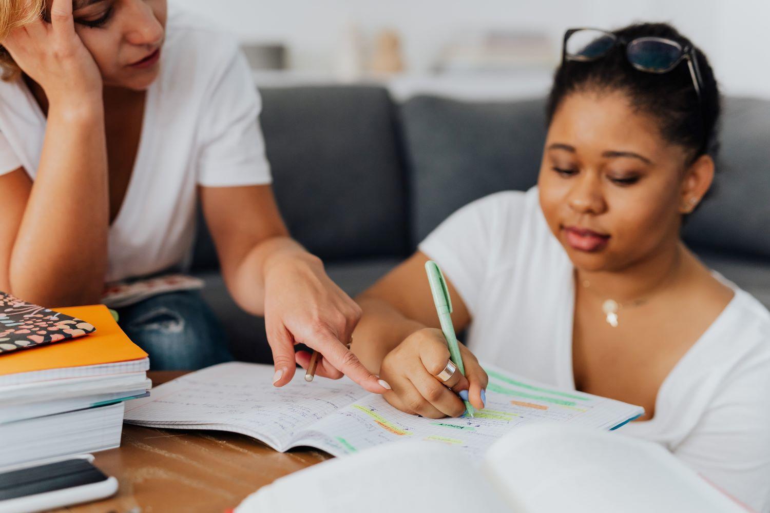 A tutor and a student of physics